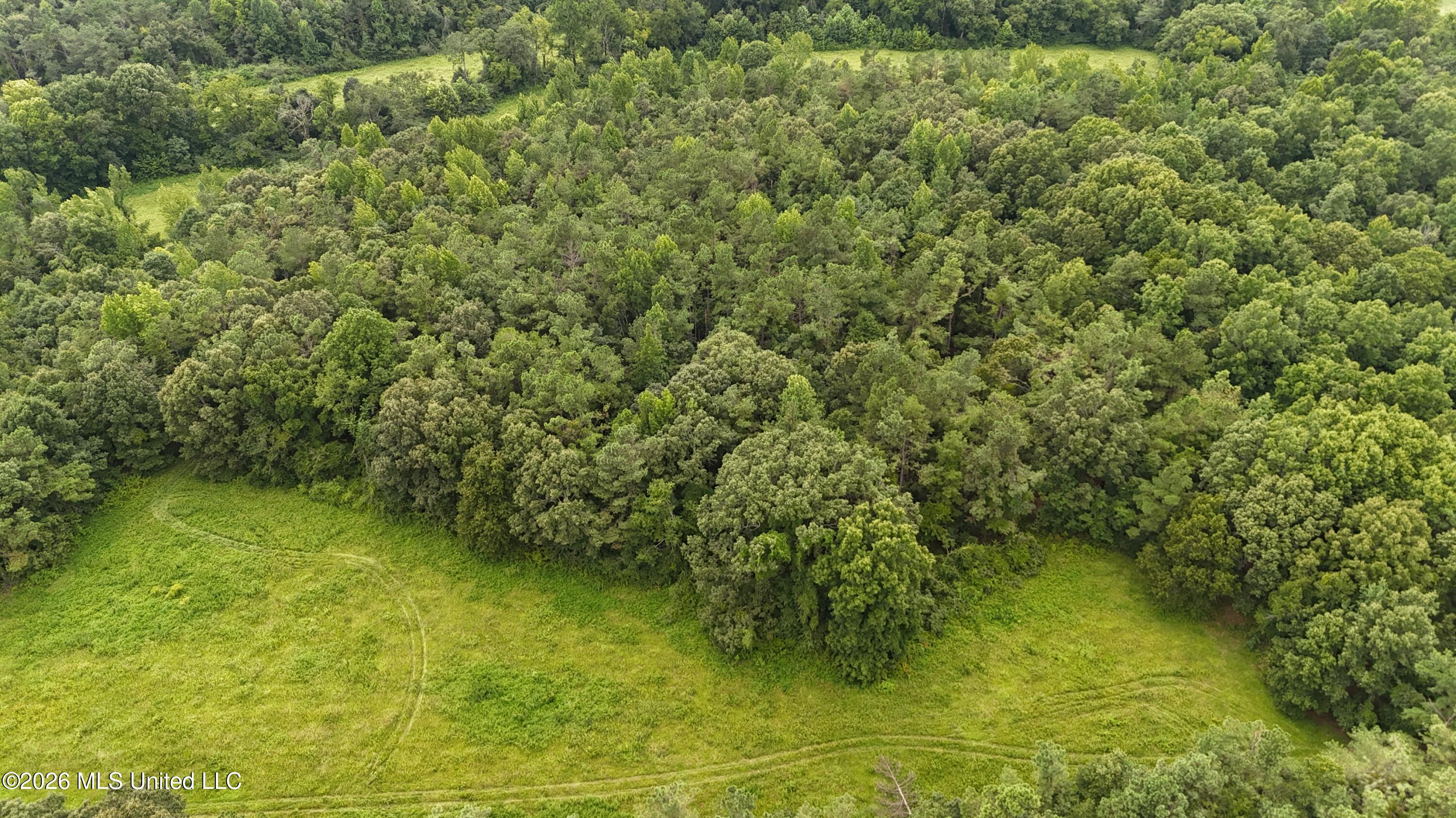 Old Hwy 7 Property Photo 27