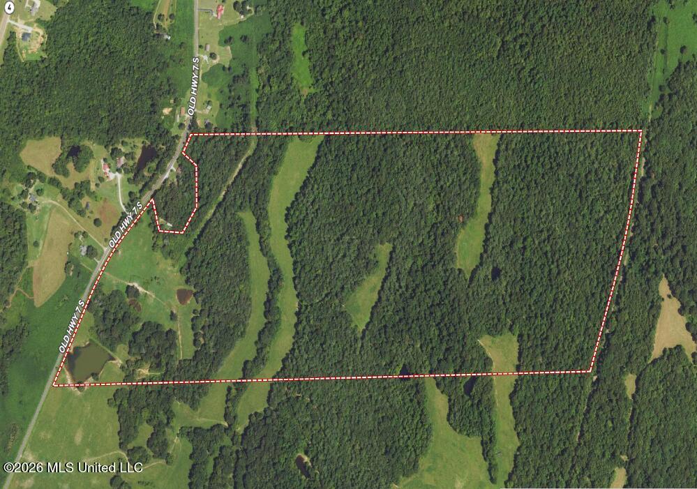 Old Hwy 7 Property Photo 29