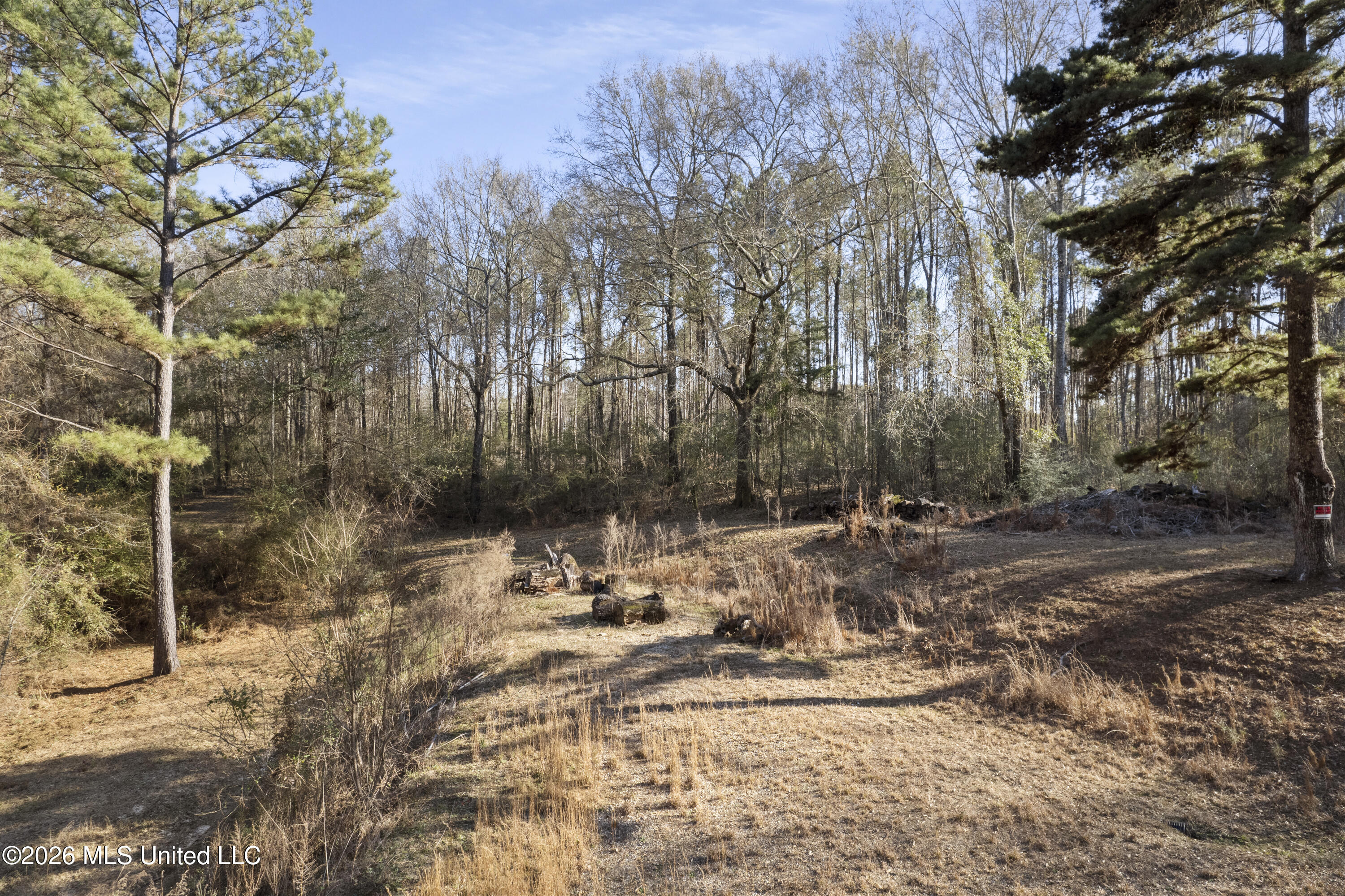 144 Corinth Road Property Photo 11