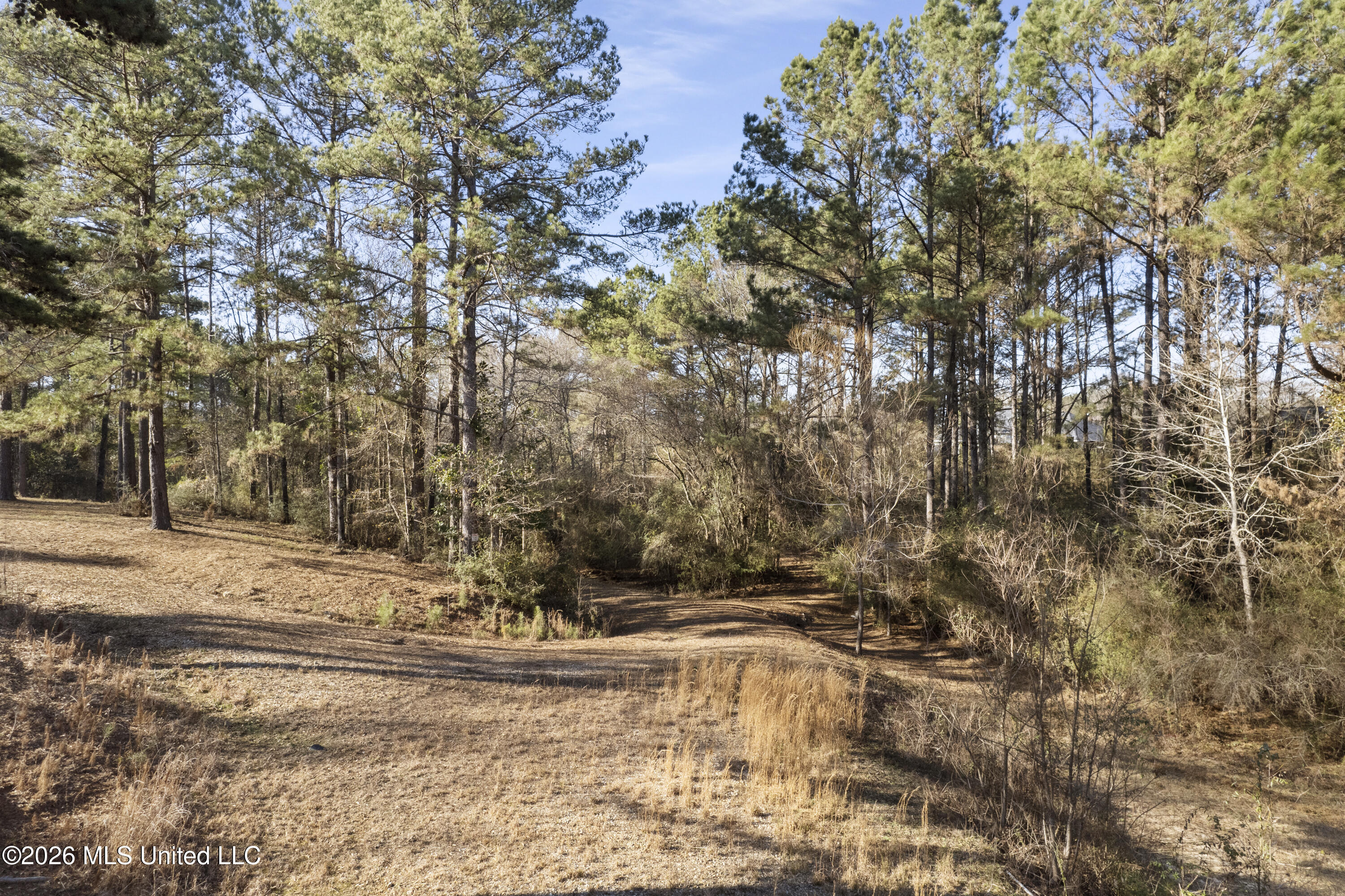 144 Corinth Road Property Photo 12