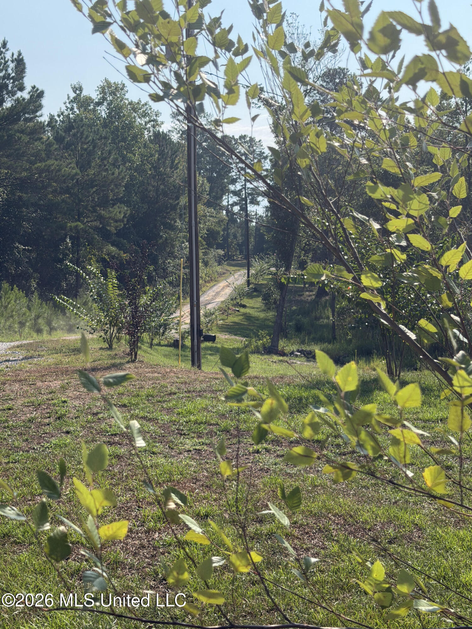135 Burger Road Property Photo 24