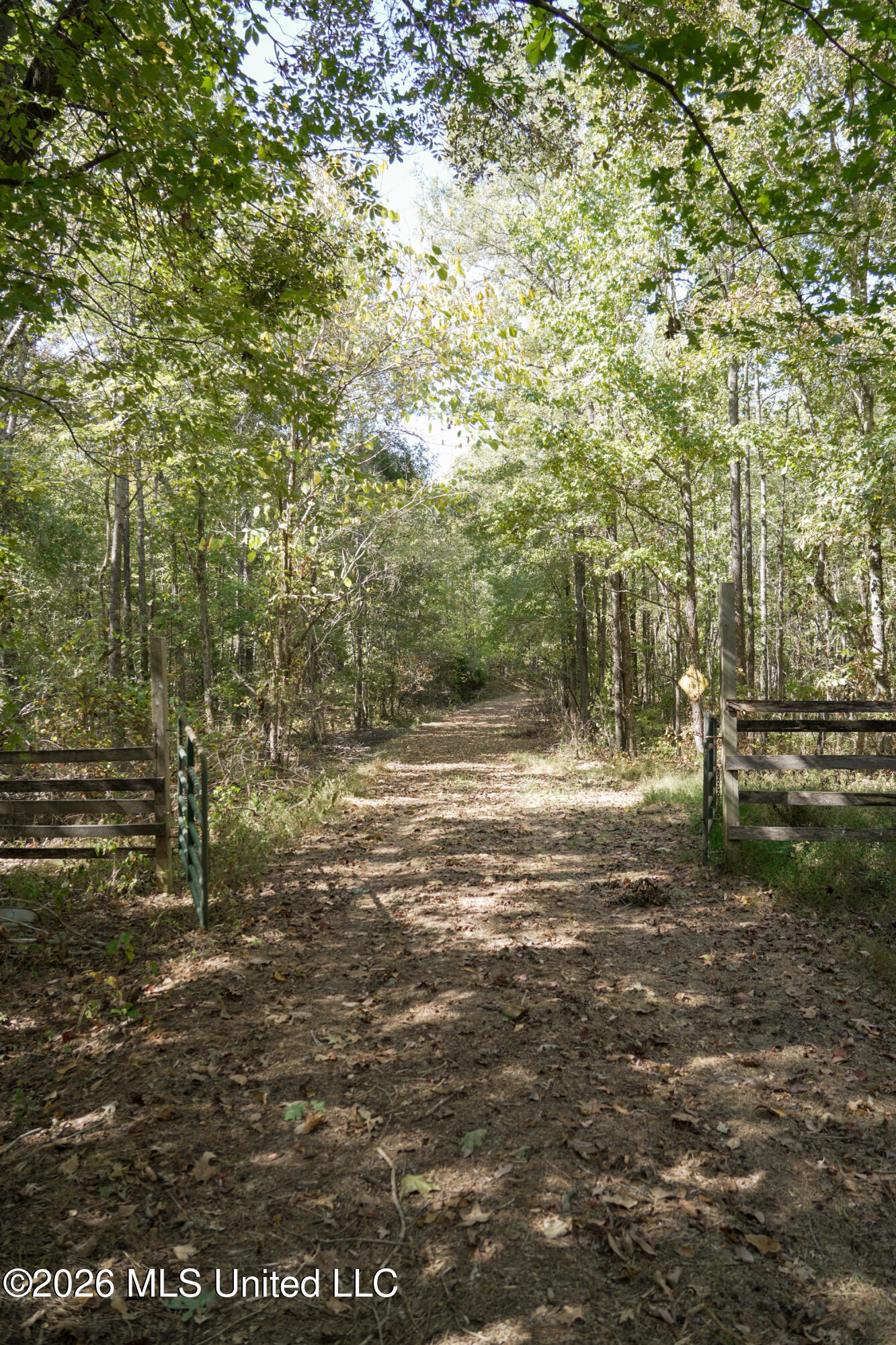 T K Lane Property Photo 3