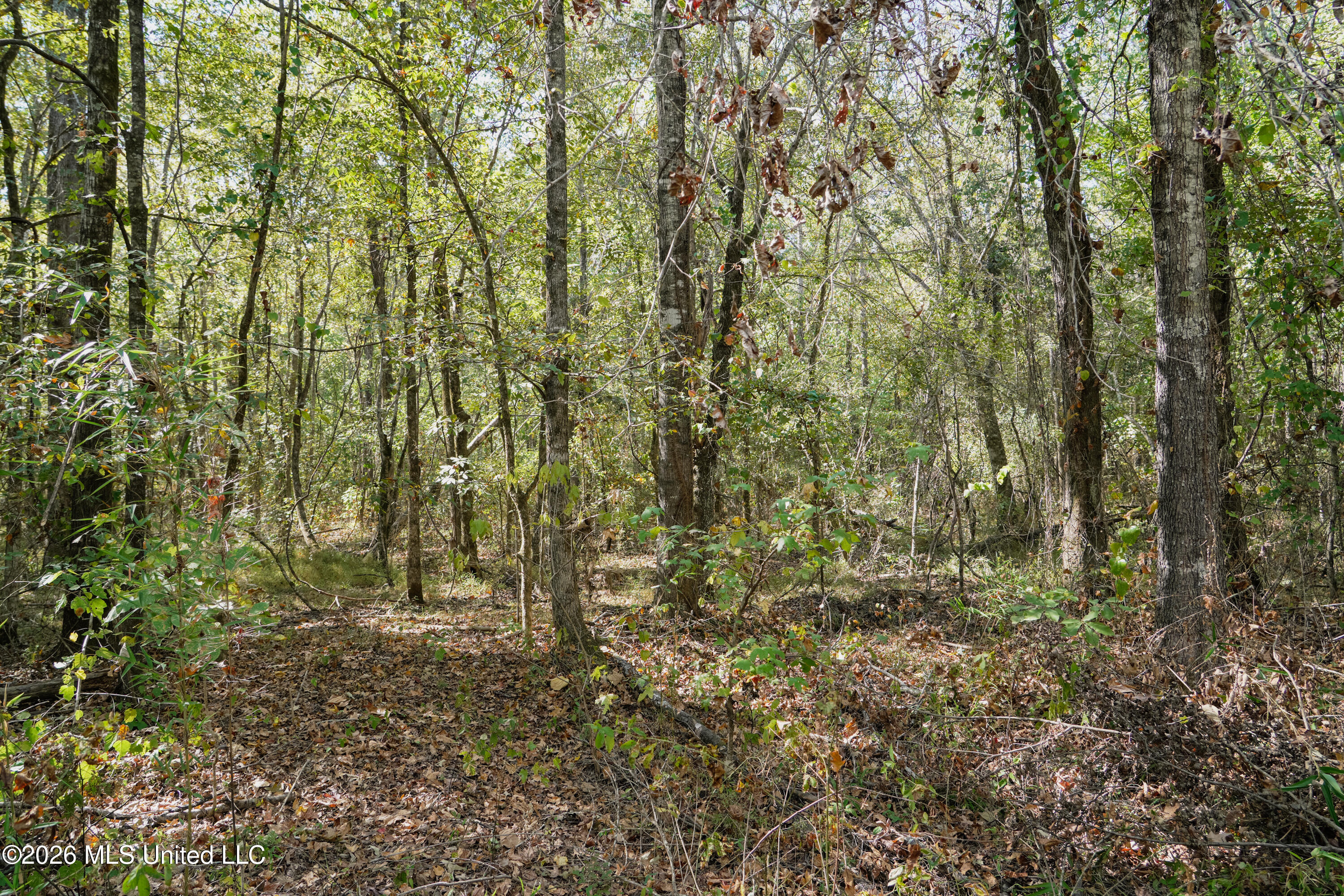 T K Lane Property Photo 4