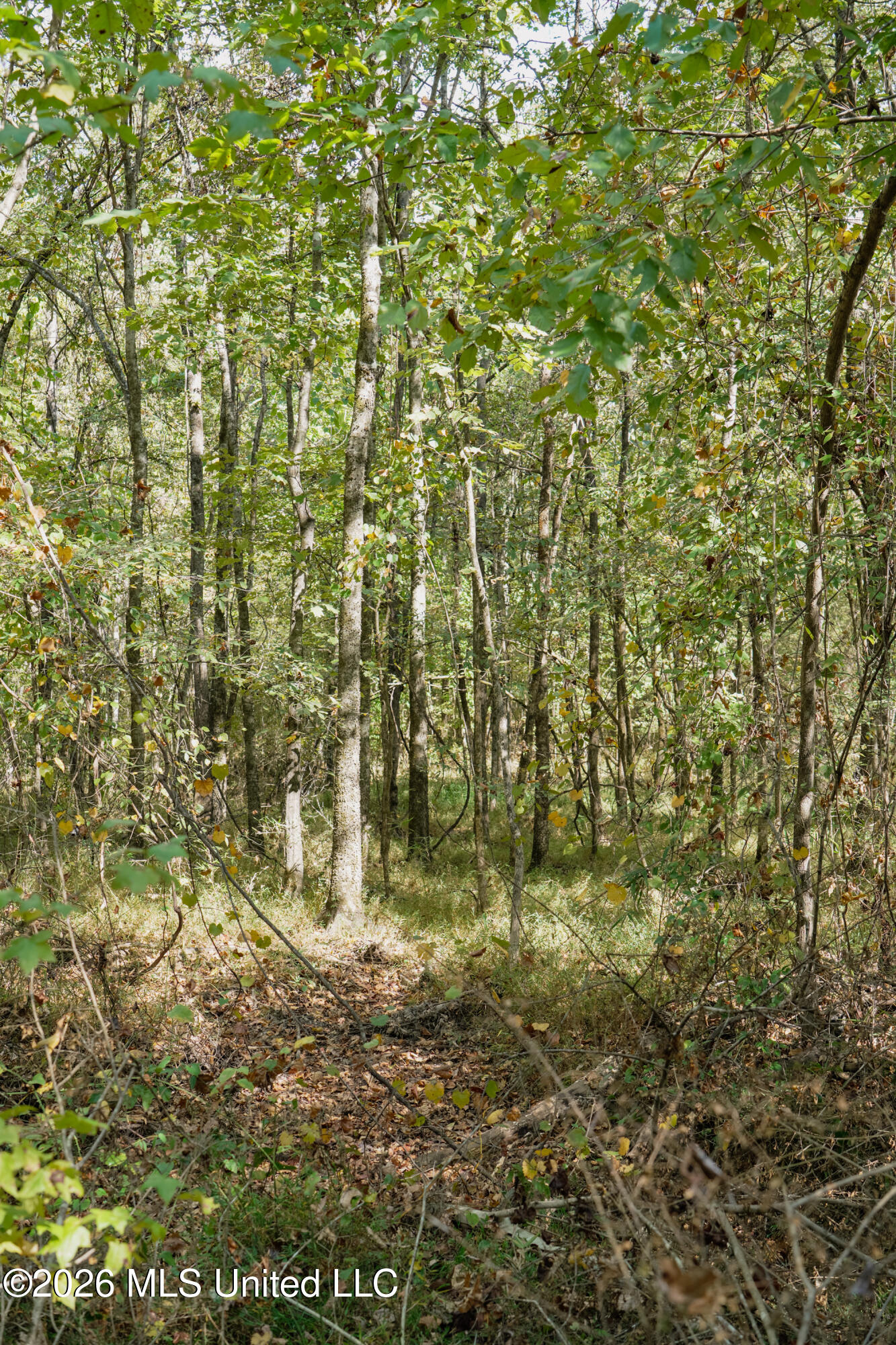 T K Lane Property Photo 5