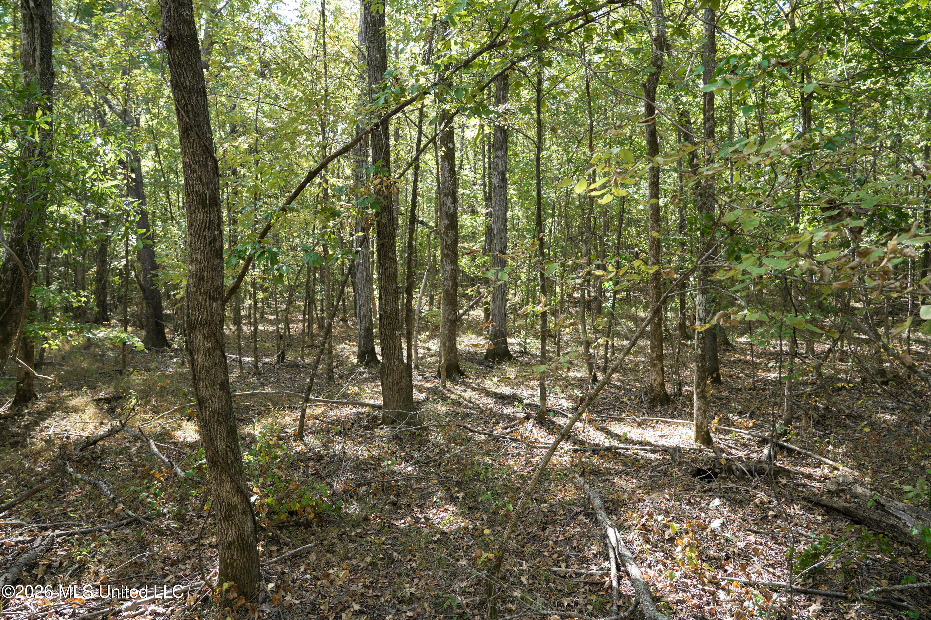 T K Lane Property Photo 6