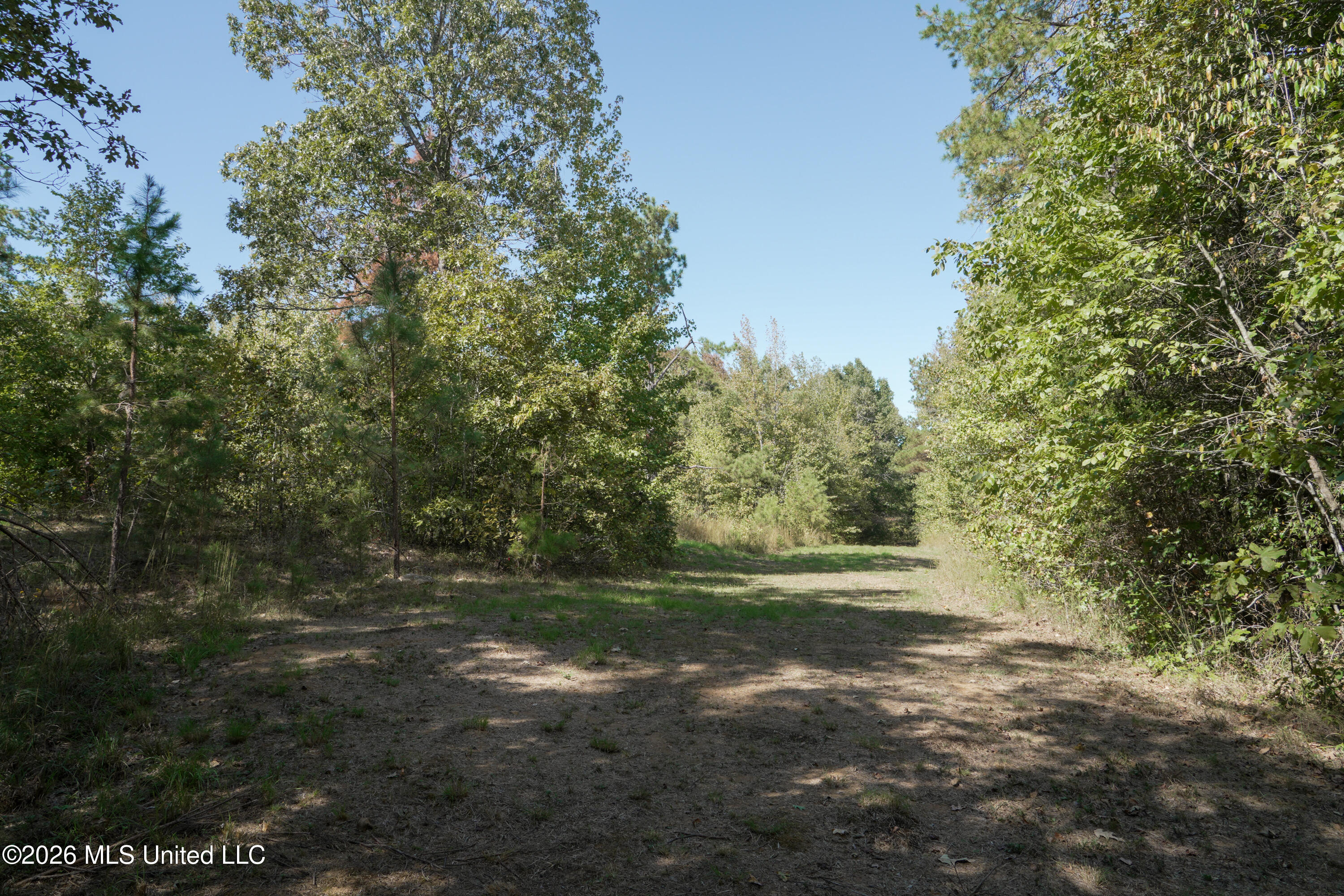 T K Lane Property Photo 8