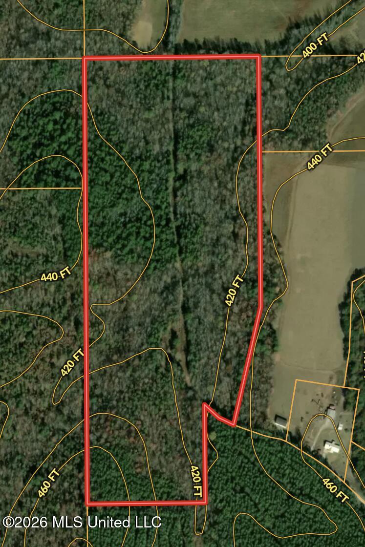 T K Lane Property Photo 9