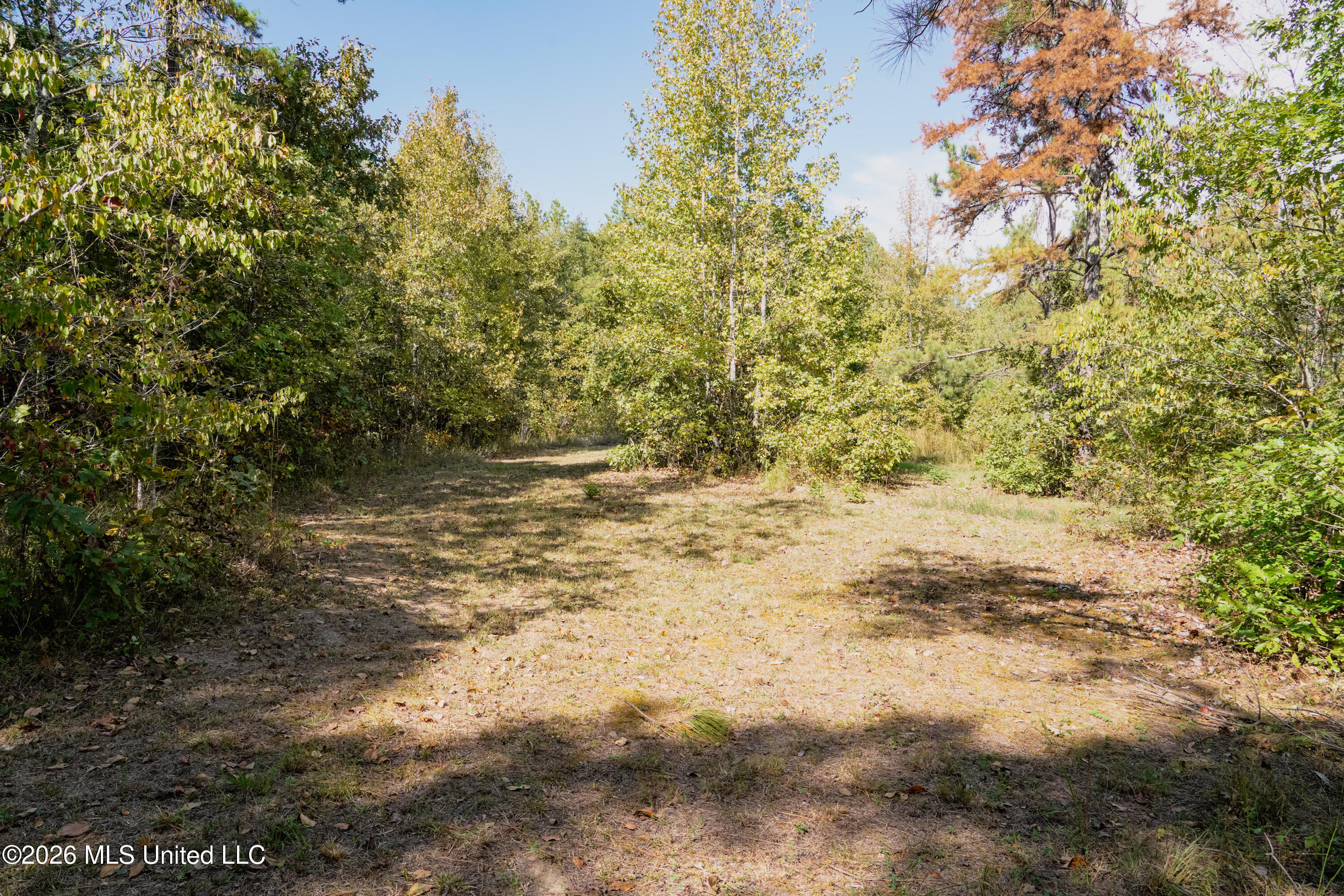T K Lane Property Photo 11