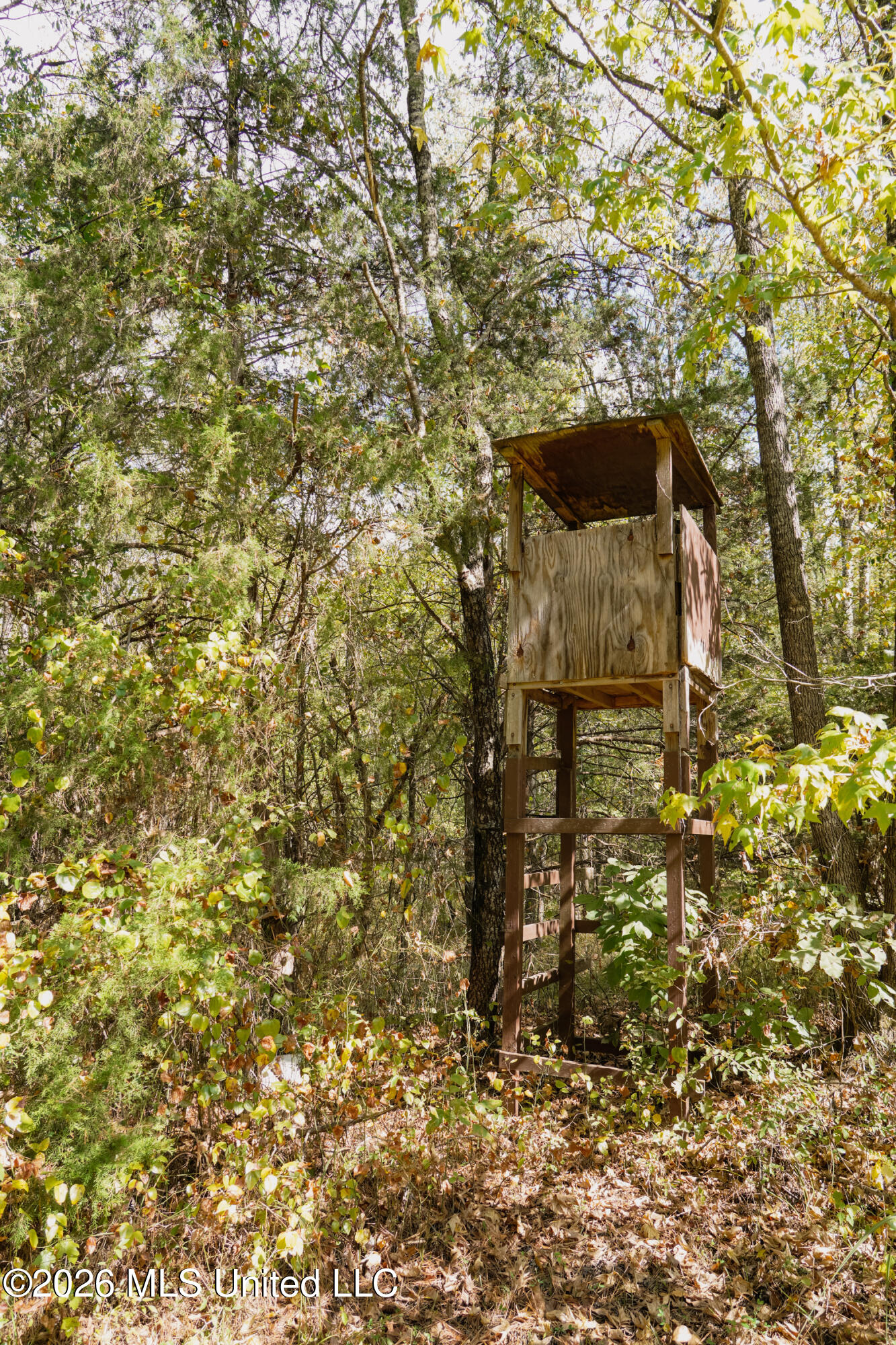 T K Lane Property Photo 13