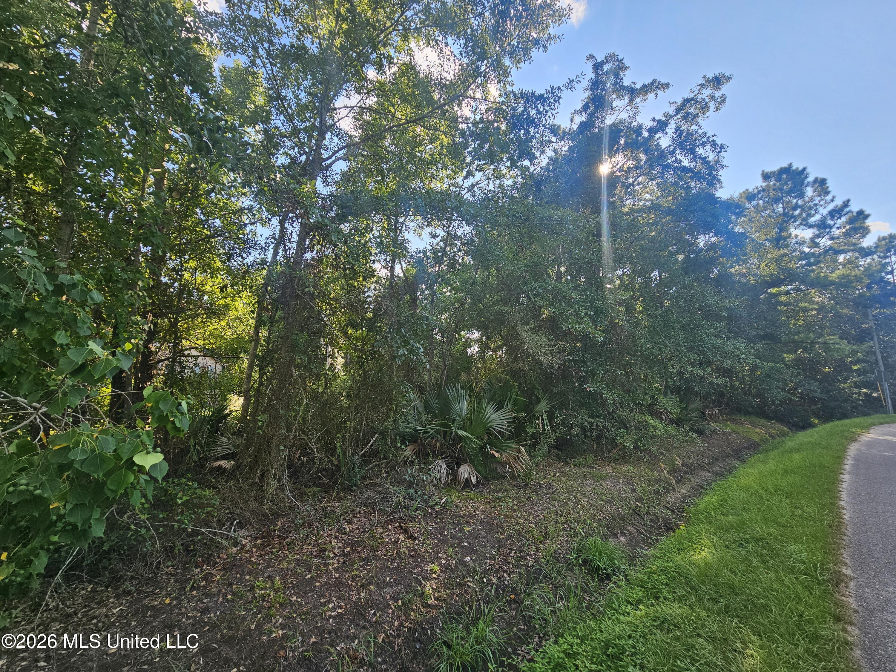 Jordan River Drive Property Photo 5