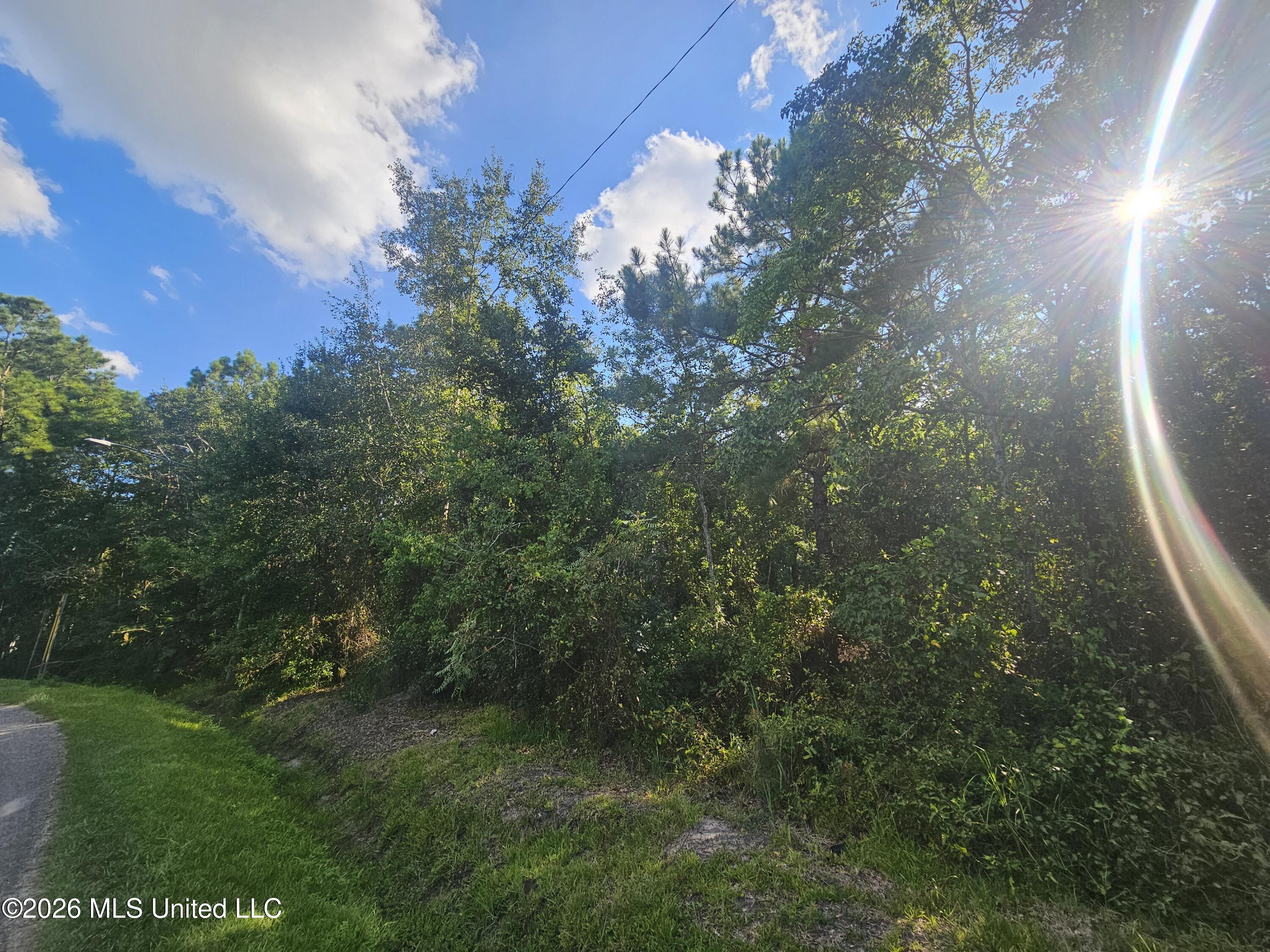 Jordan River Drive Property Photo 6