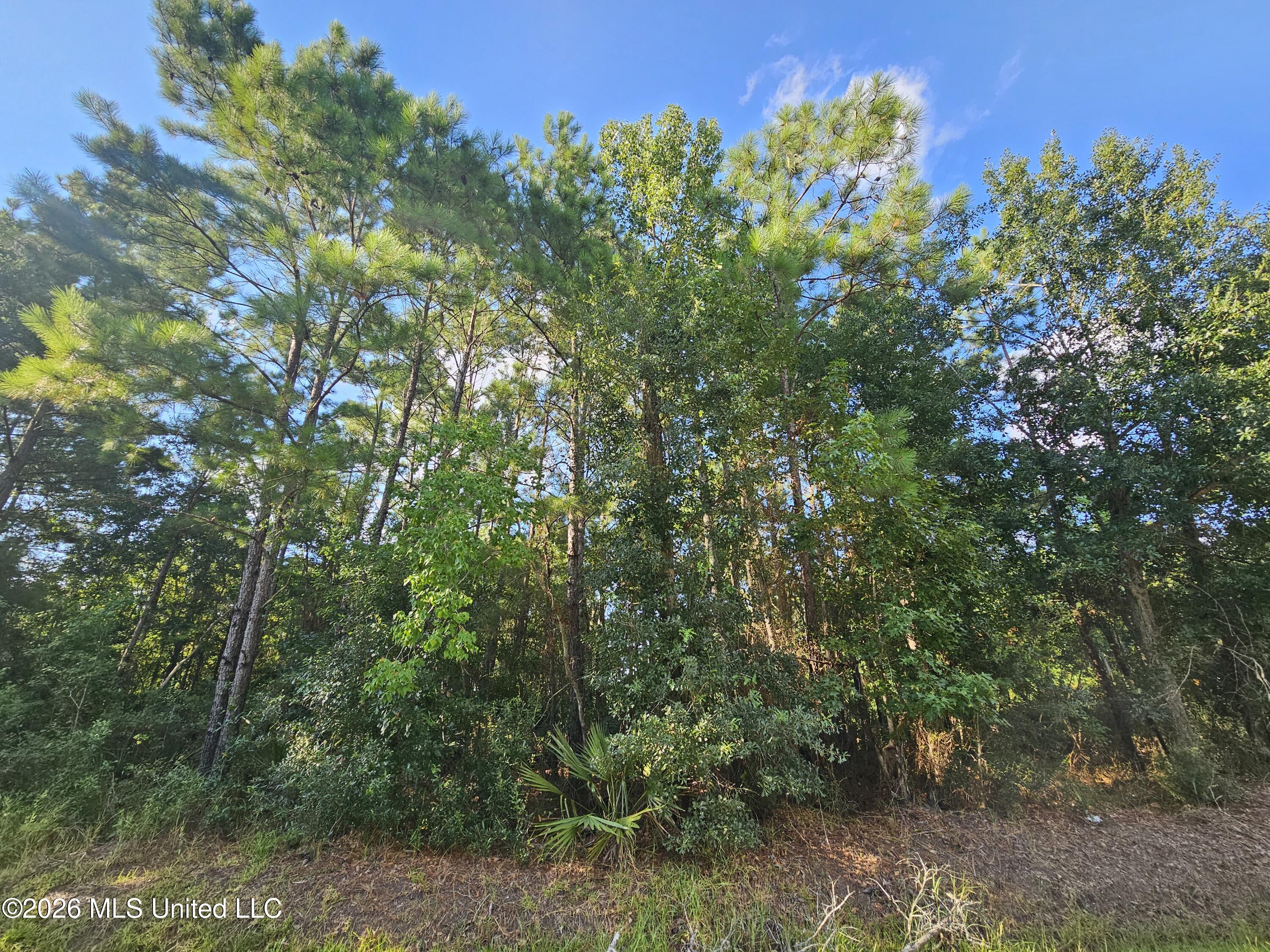 Jordan River Drive Property Photo 7
