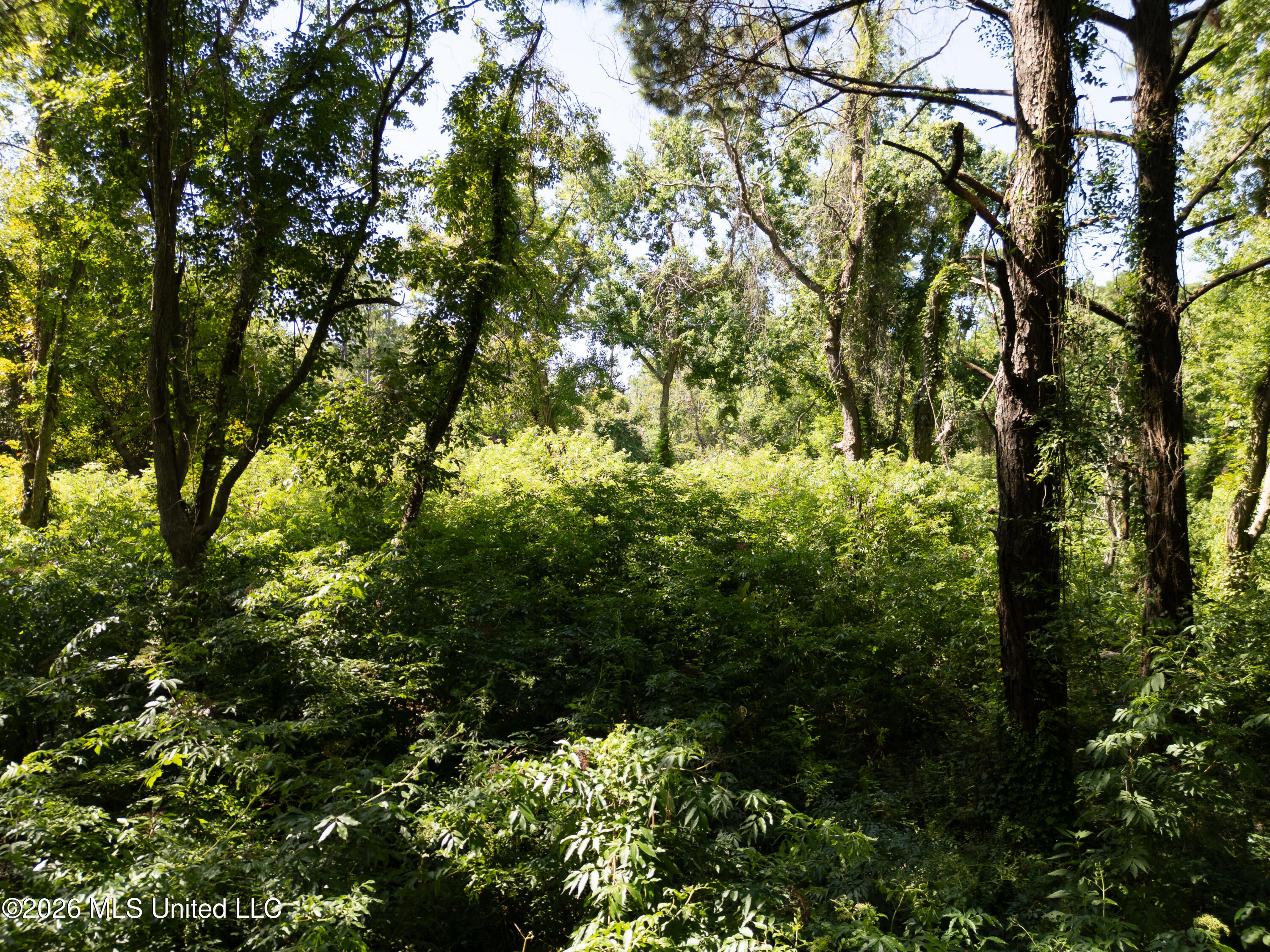 Pabst Road Property Photo 7