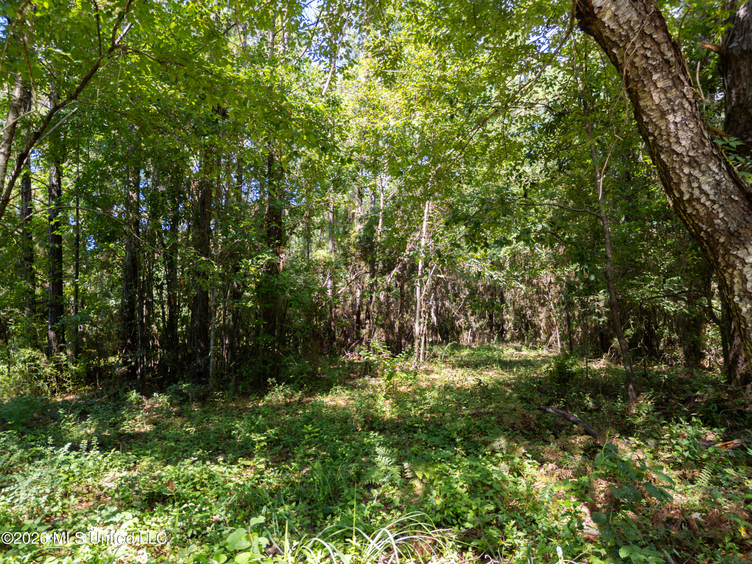 Pabst Road Property Photo 10