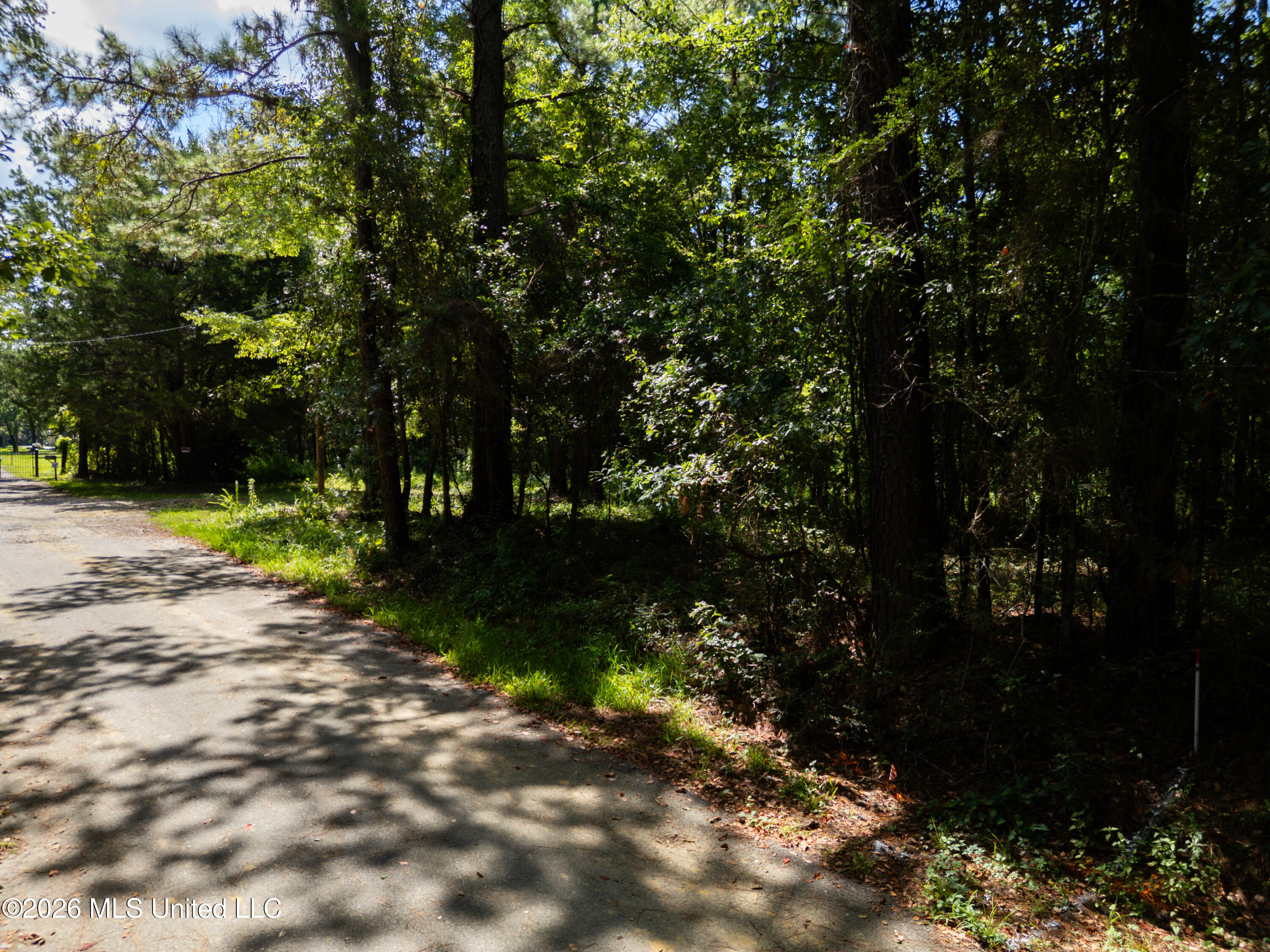 Pabst Road Property Photo 11