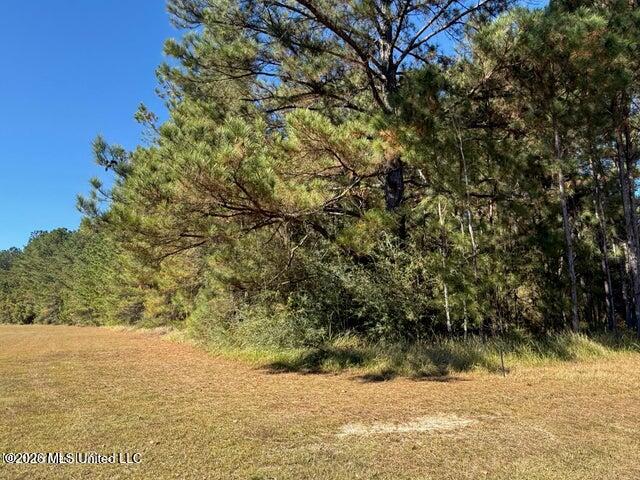 6.25ac Knob Town Rd Property Photo 1