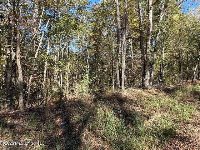 6.25ac Knob Town Rd Property Photo 2