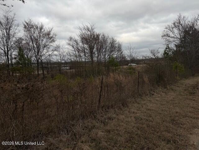 100 Dempsey Dr. Property Photo 5