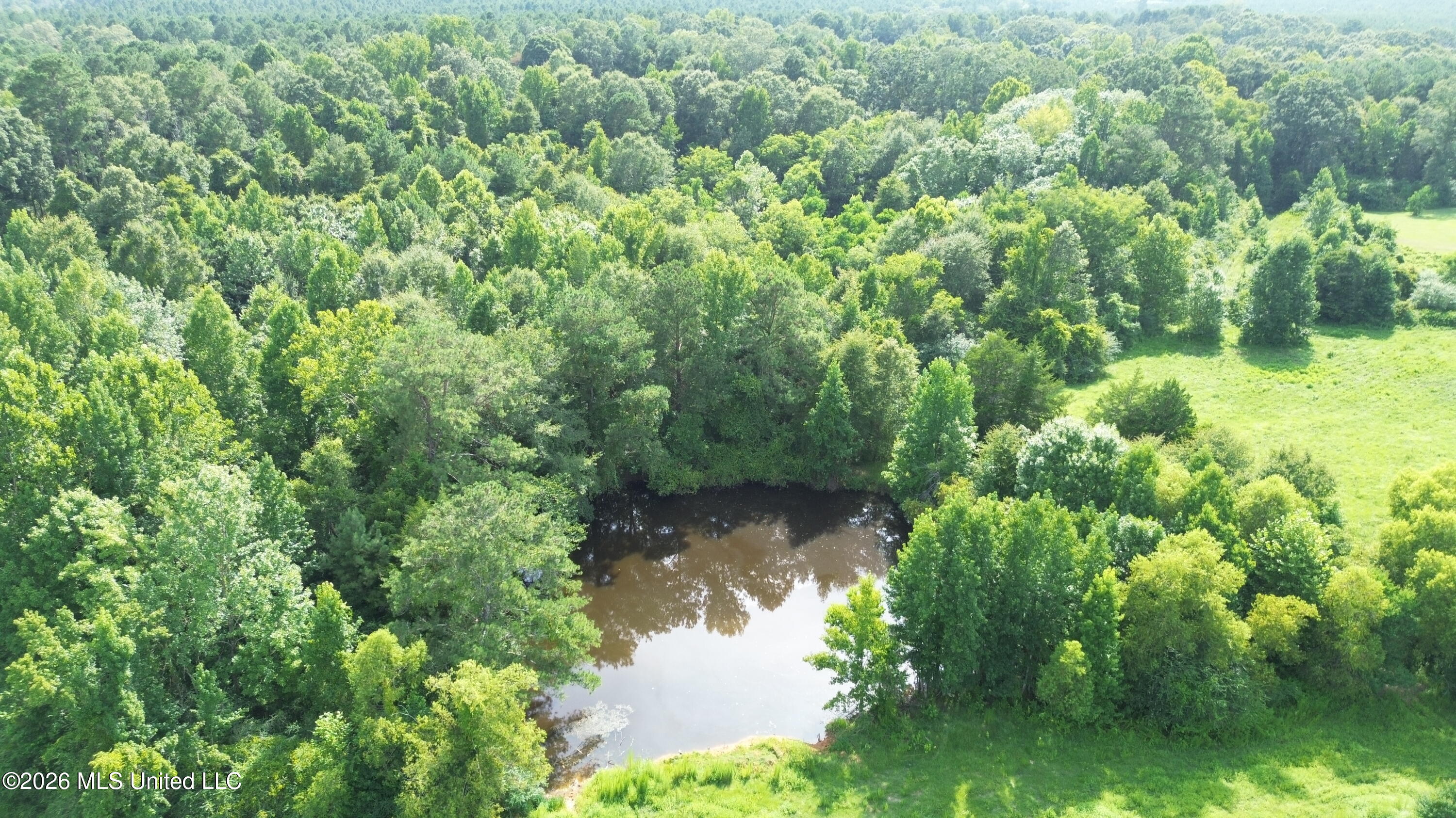386 E Smith County Road 111-a Property Photo 4
