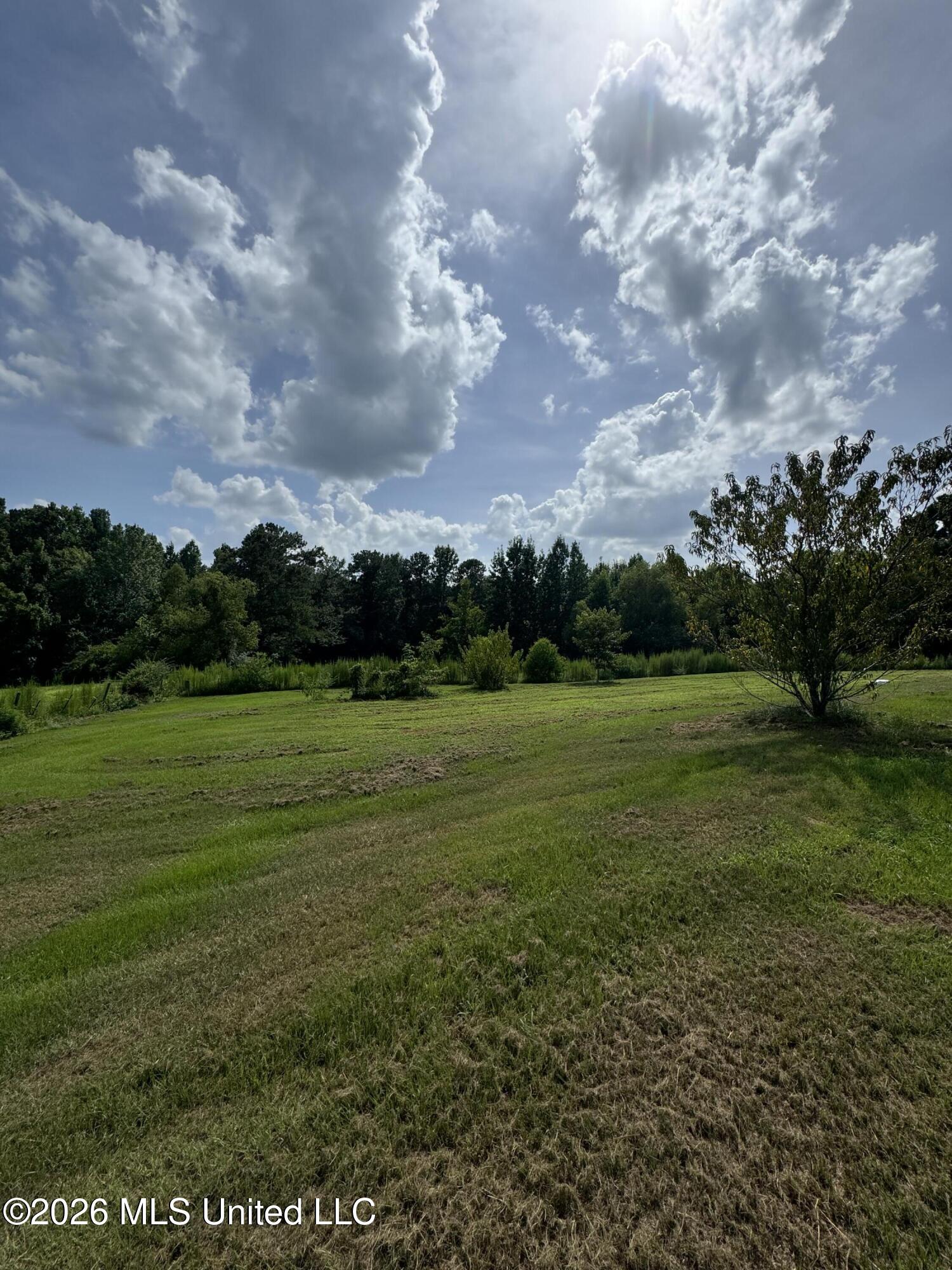 386 E Smith County Road 111-a Property Photo 28