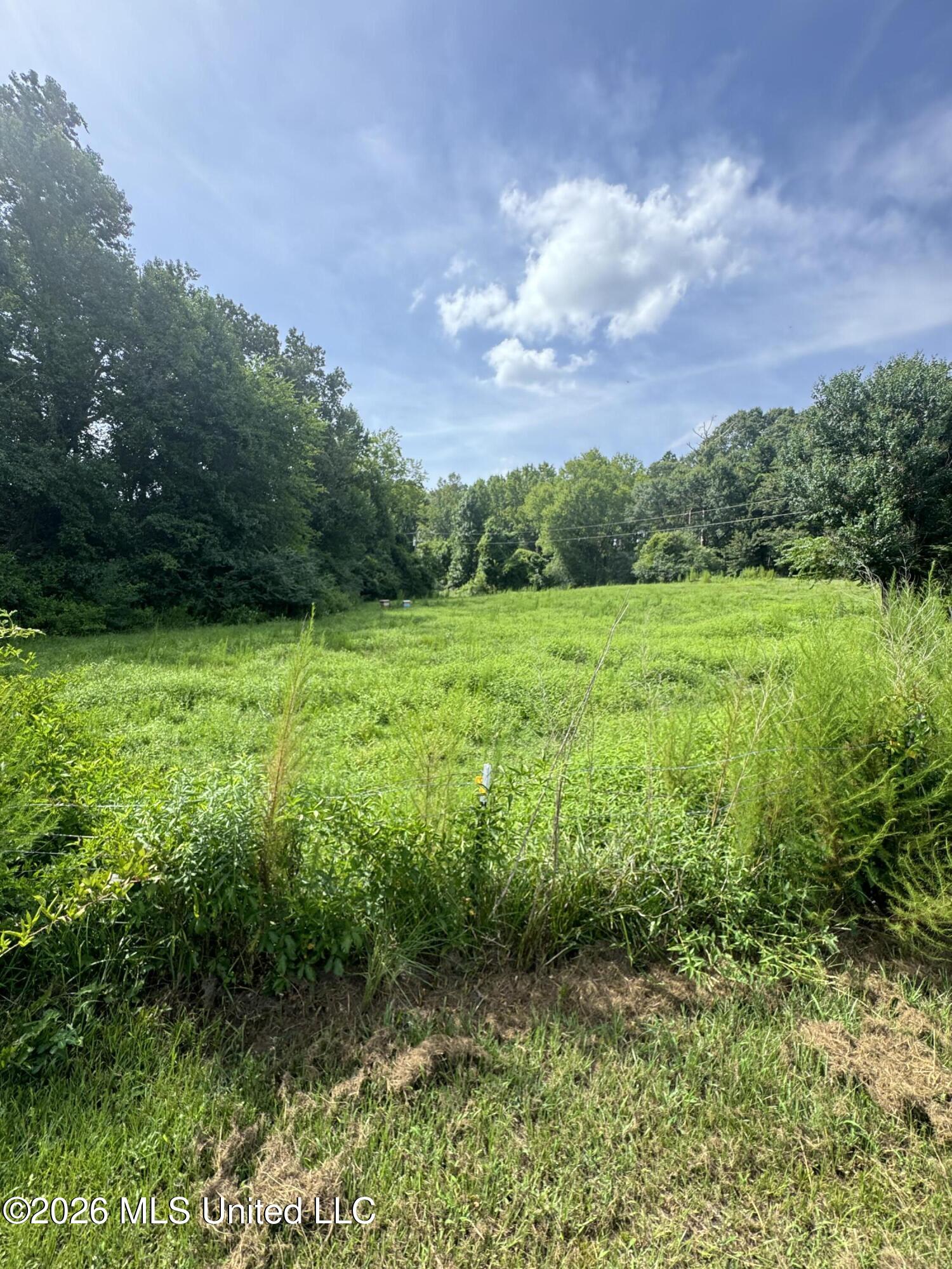 386 E Smith County Road 111-a Property Photo 30