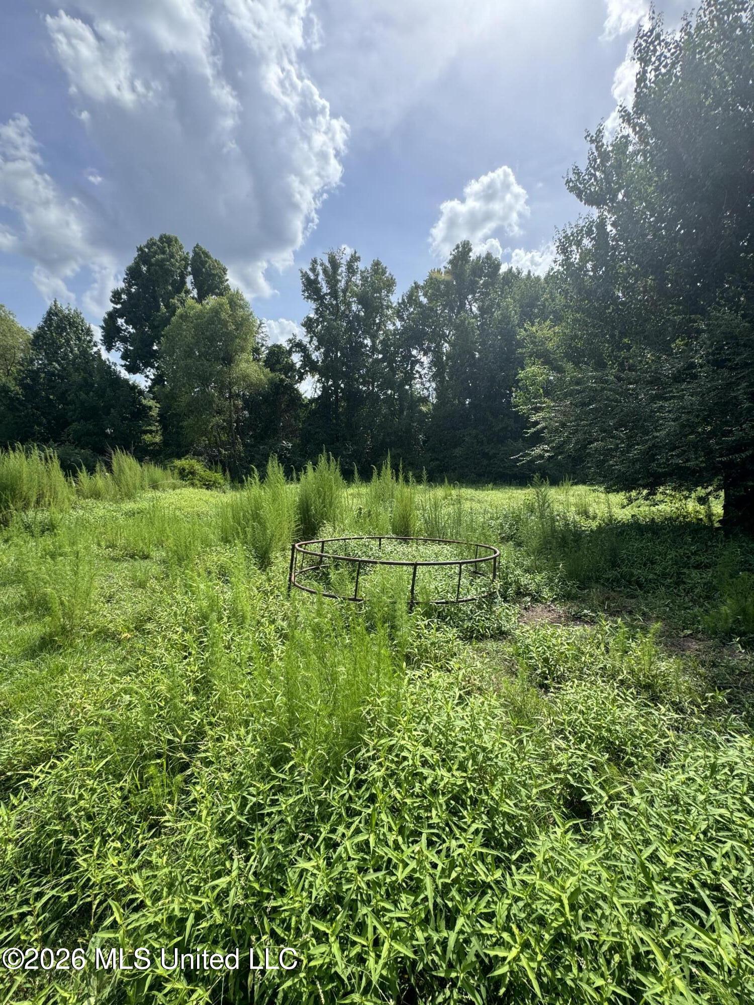 386 E Smith County Road 111-a Property Photo 32