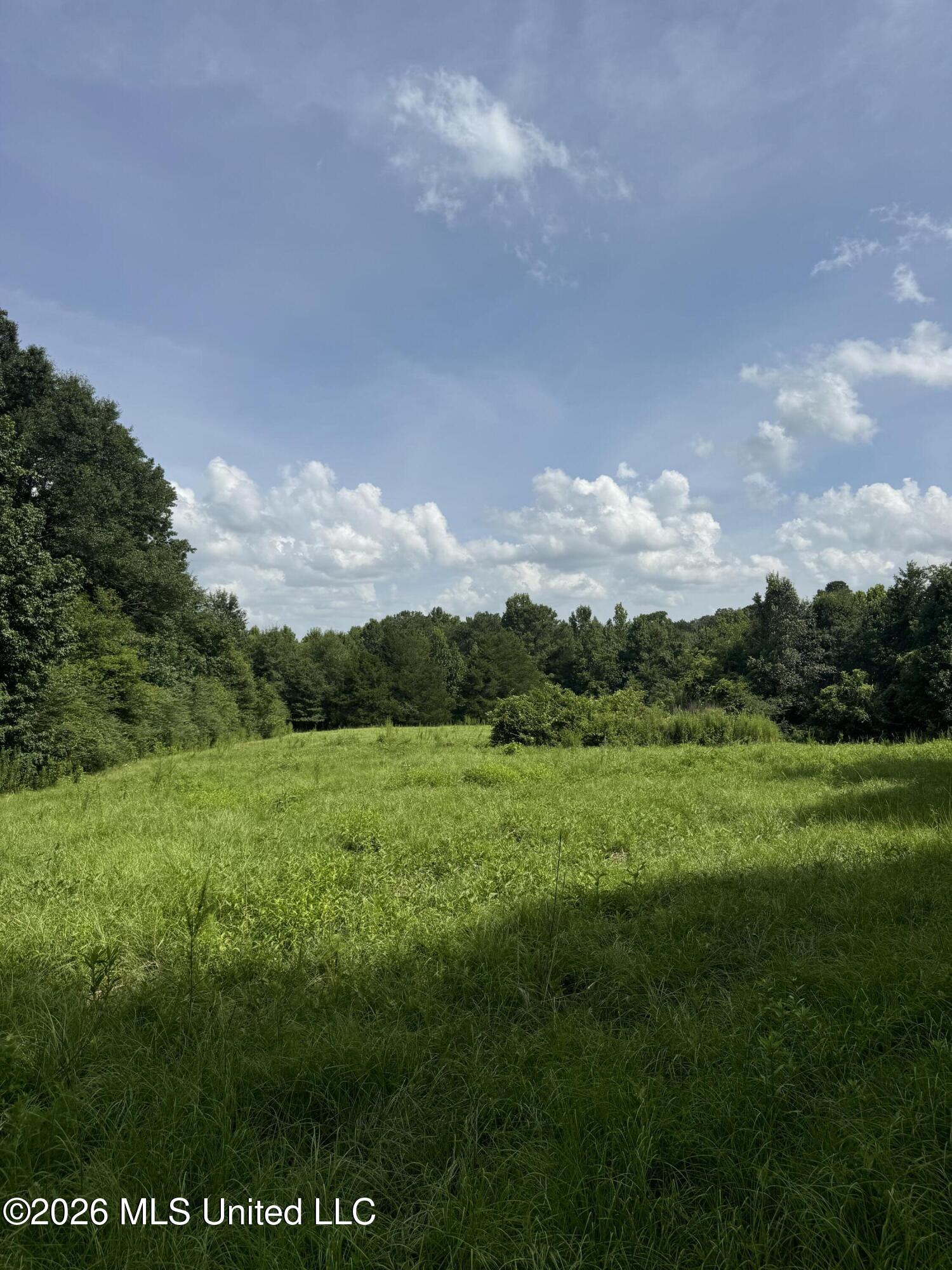 386 E Smith County Road 111-a Property Photo 34