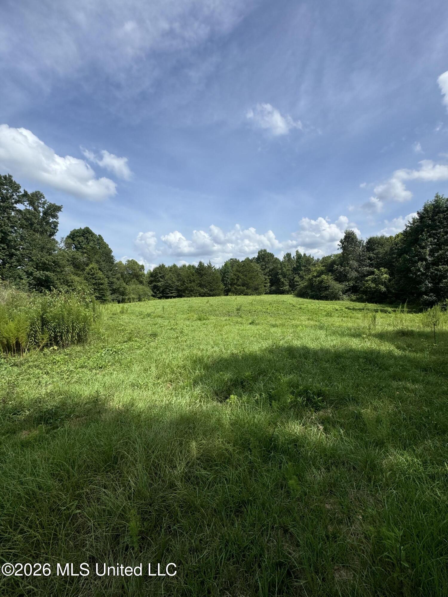 386 E Smith County Road 111-a Property Photo 35