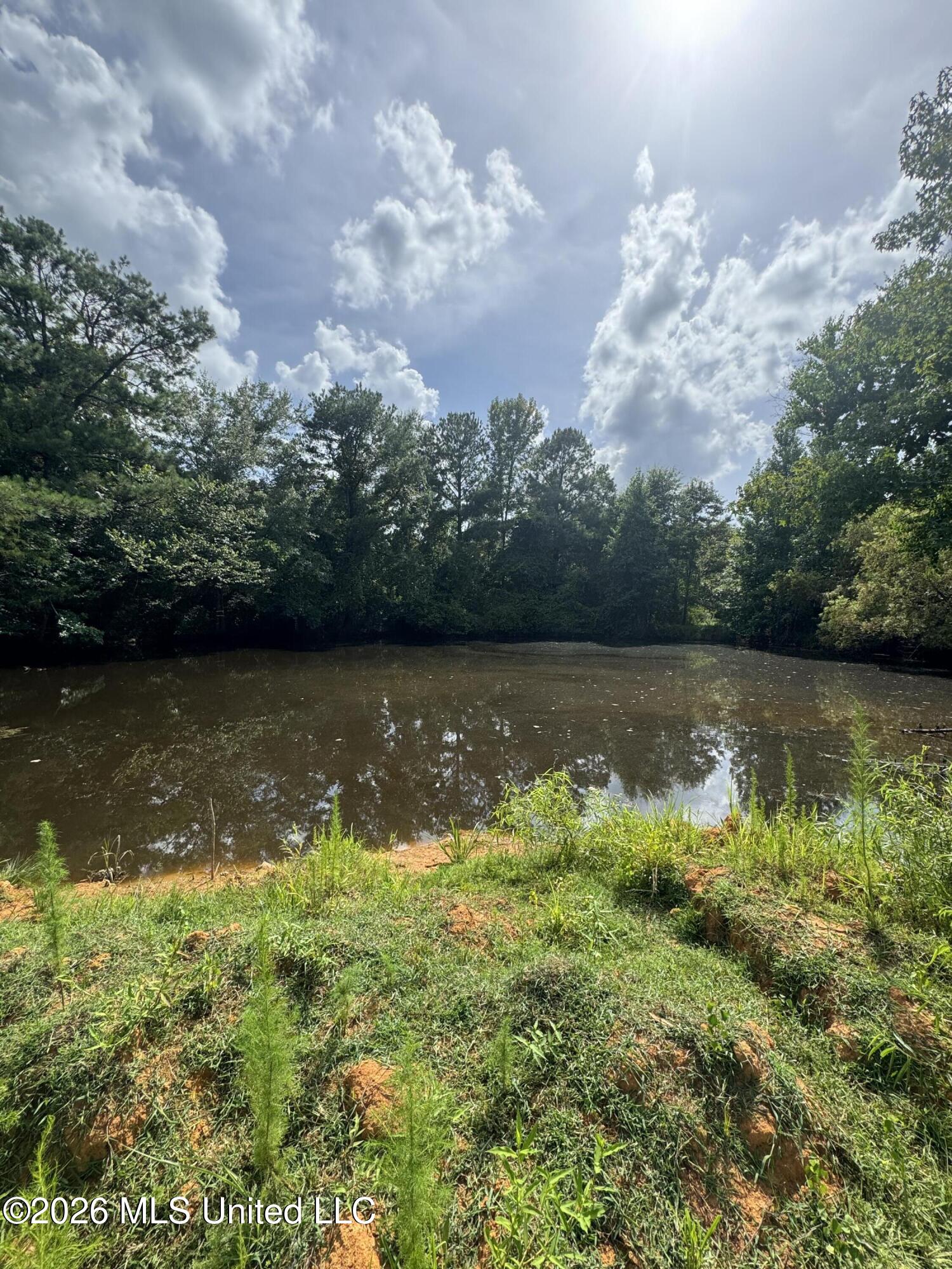 386 E Smith County Road 111-a Property Photo 37