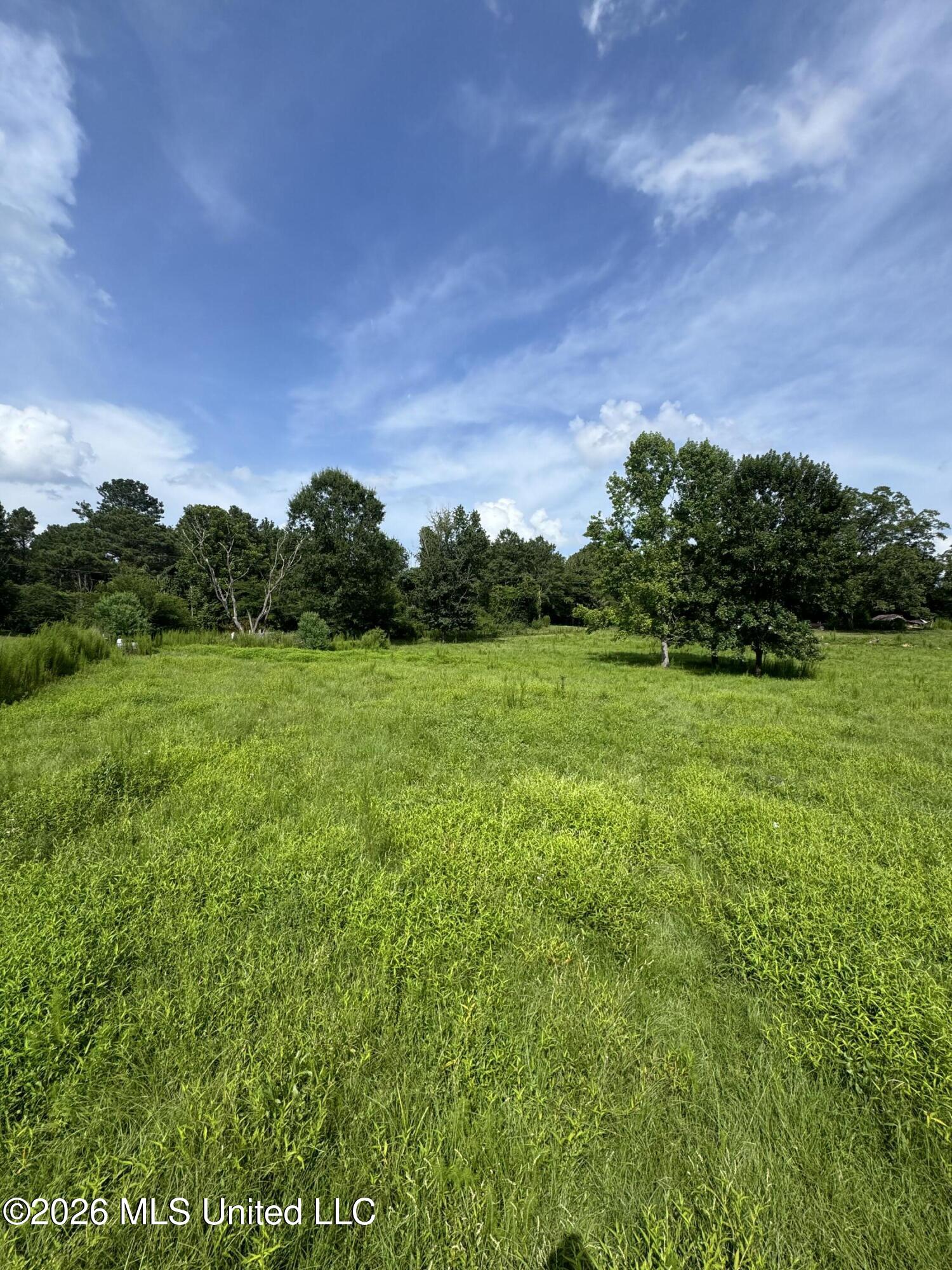 386 E Smith County Road 111-a Property Photo 38