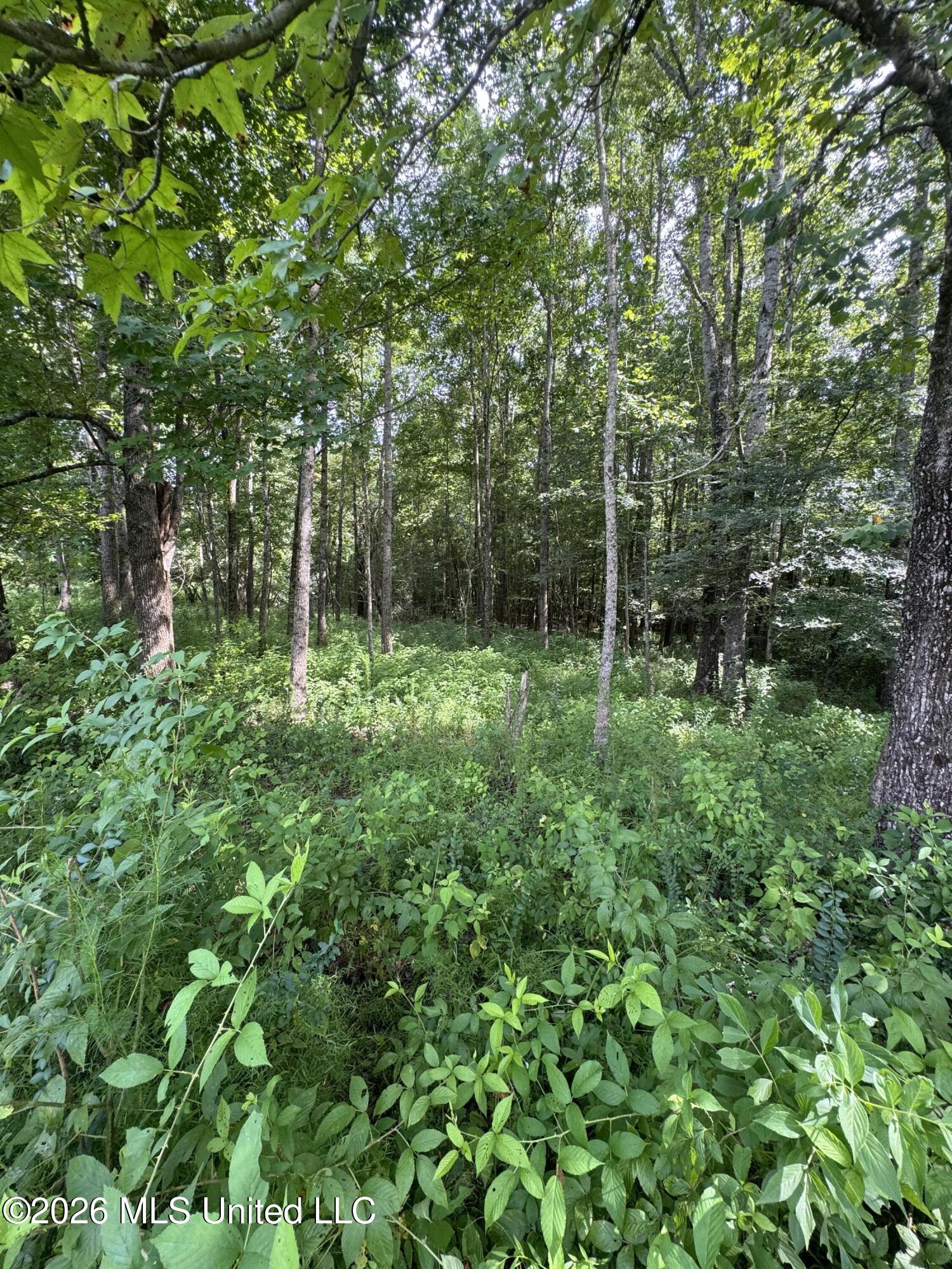 386 E Smith County Road 111-a Property Photo 39
