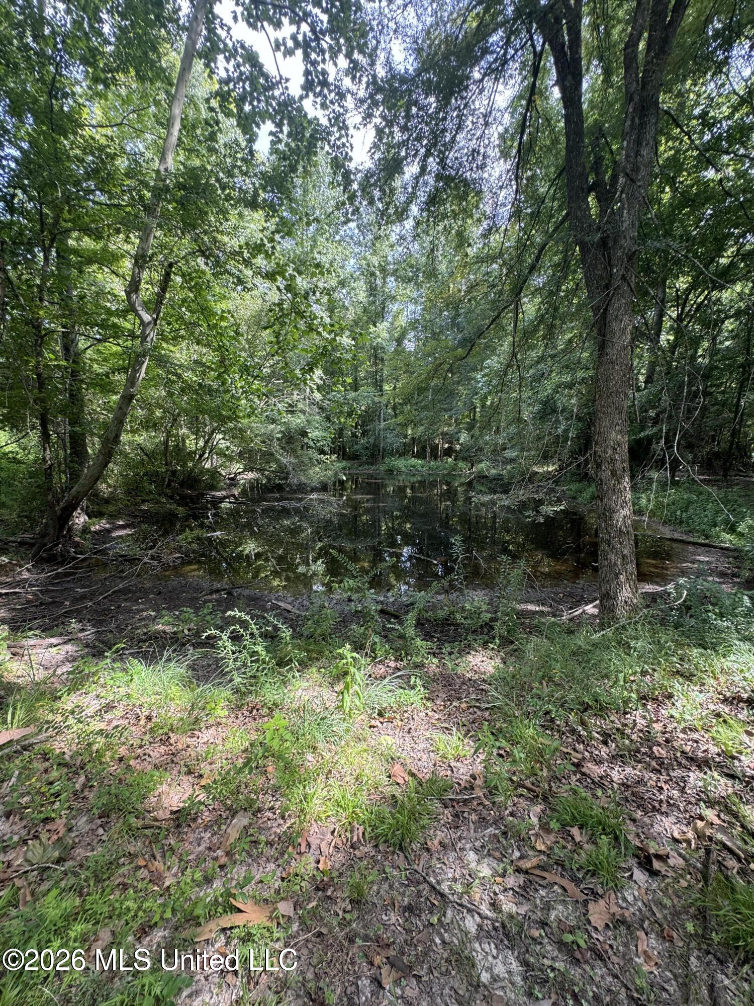 386 E Smith County Road 111-a Property Photo 40