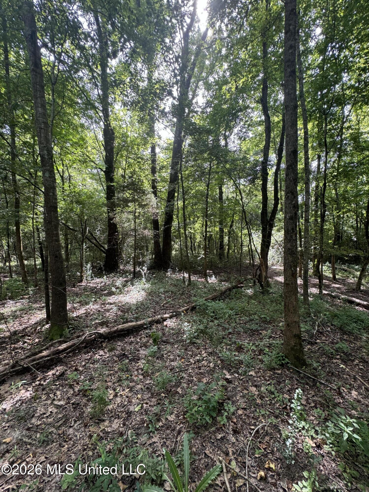 386 E Smith County Road 111-a Property Photo 41