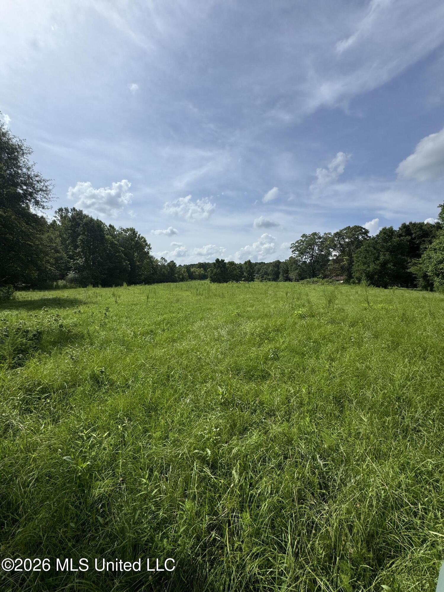 386 E Smith County Road 111-a Property Photo 43