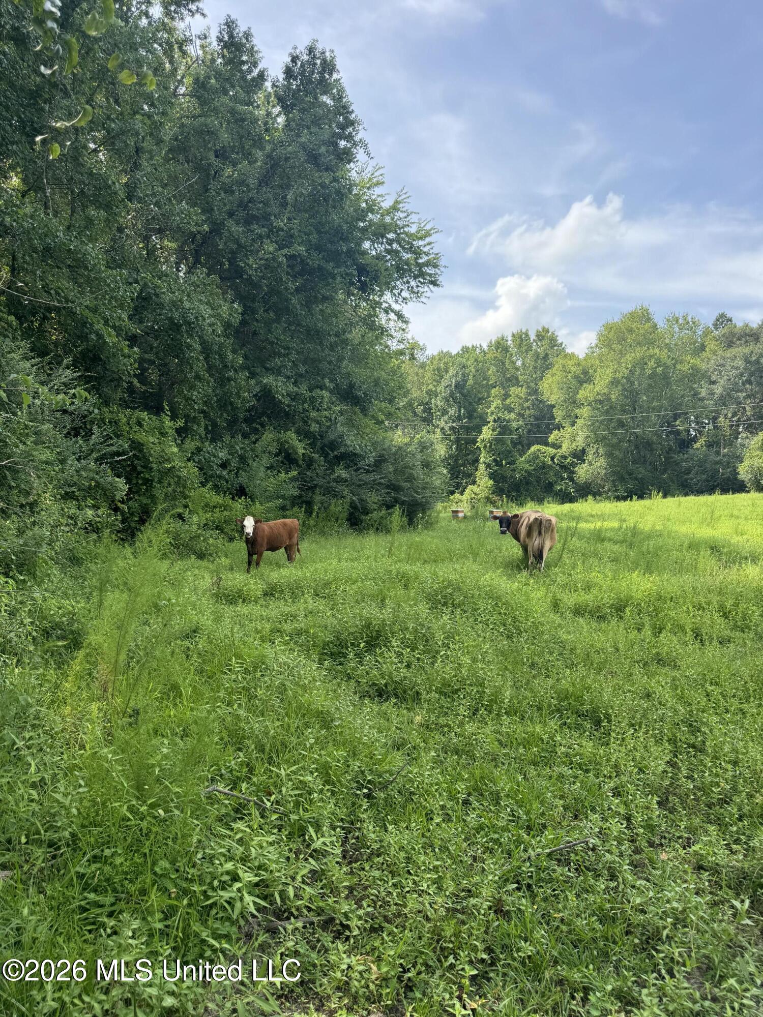 386 E Smith County Road 111-a Property Photo 45