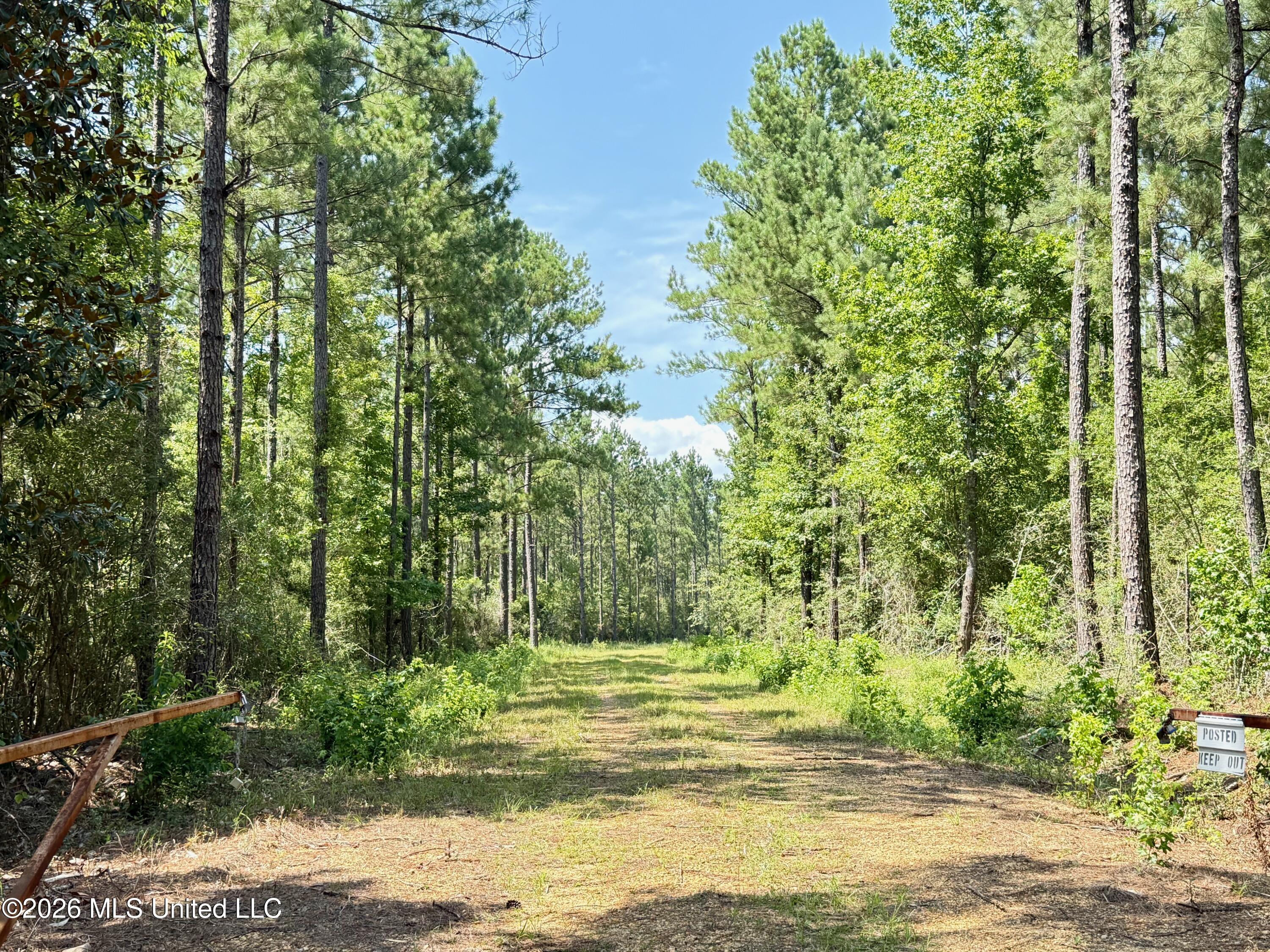 Storey Parkman Property Photo 1