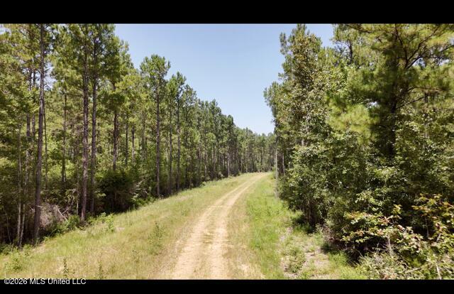 Storey Parkman Property Photo 2