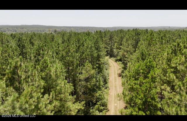 Storey Parkman Property Photo 3