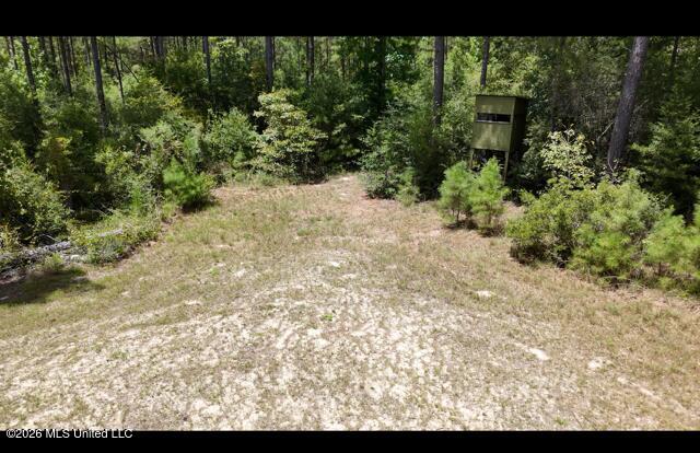 Storey Parkman Property Photo 6