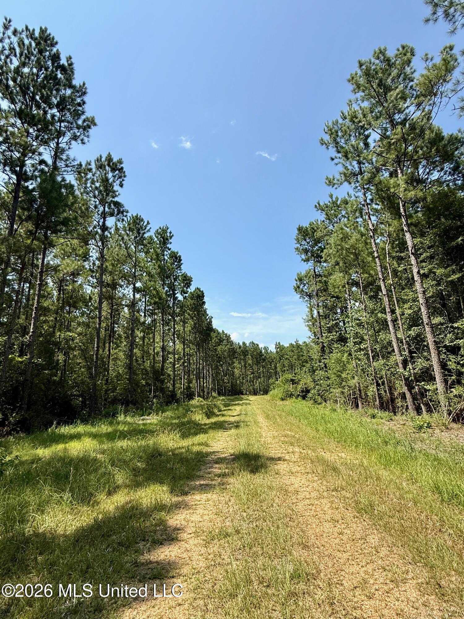 Storey Parkman Property Photo 11