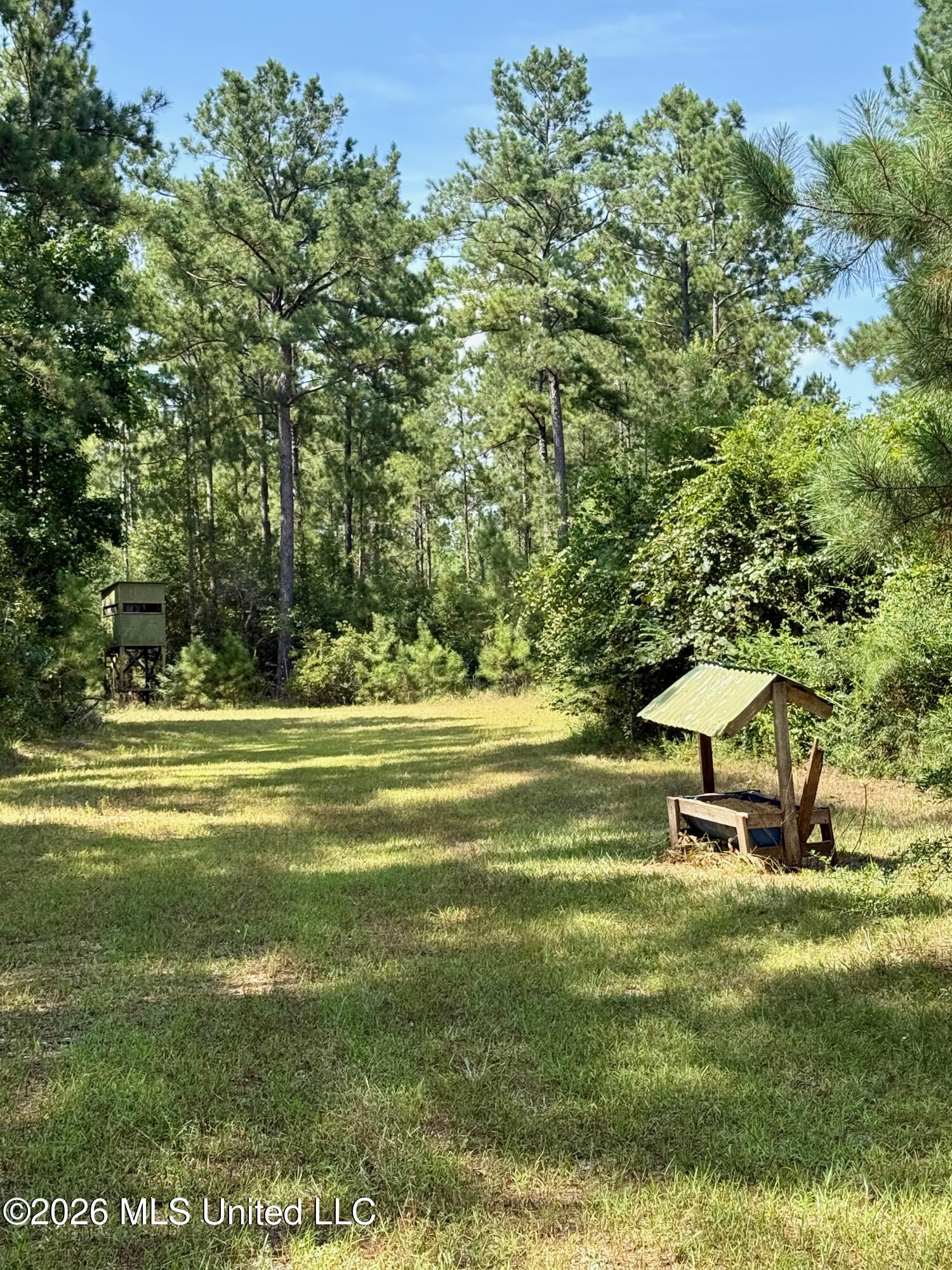 Storey Parkman Property Photo 12