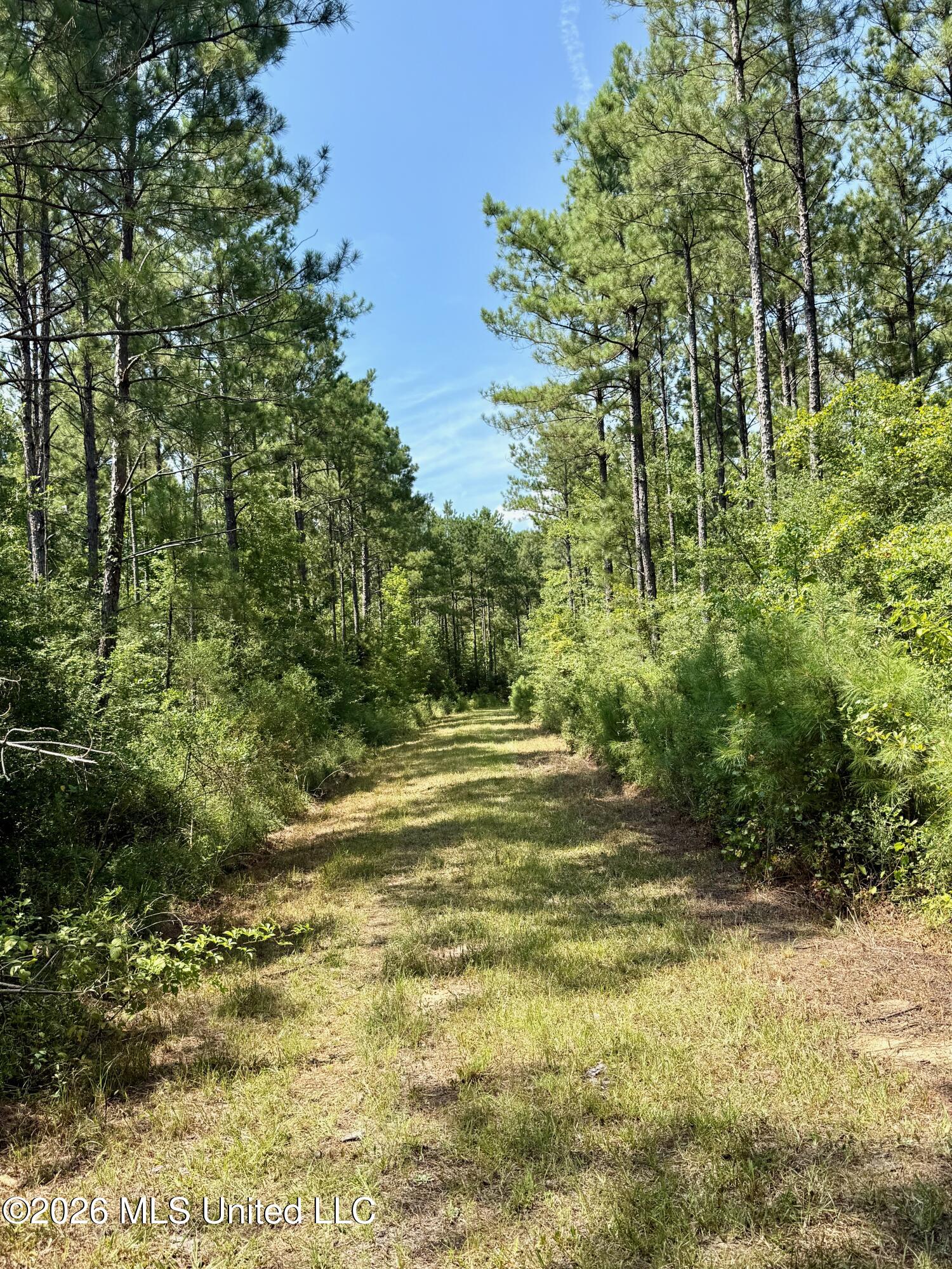 Storey Parkman Property Photo 13