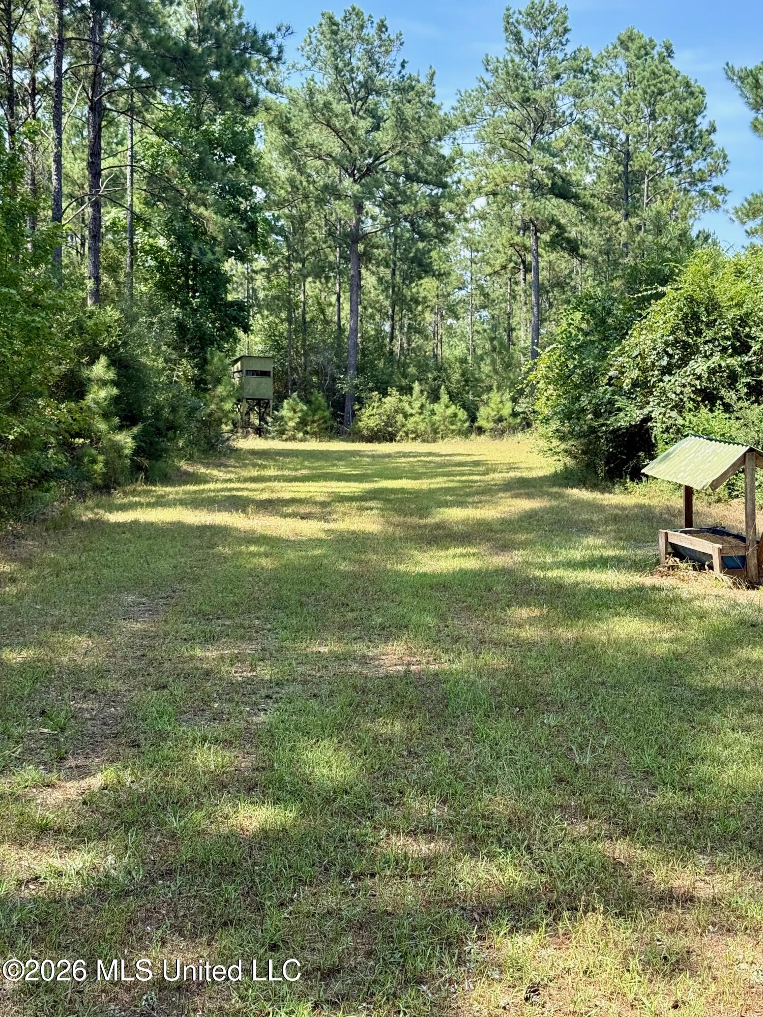Storey Parkman Property Photo 15