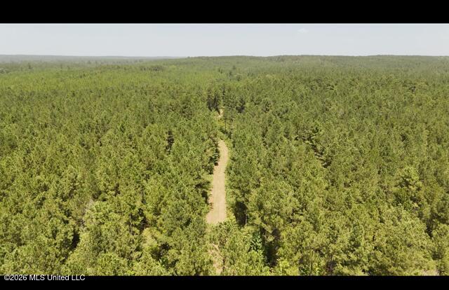 Storey Parkman Property Photo 16