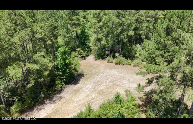 Storey Parkman Property Photo 17