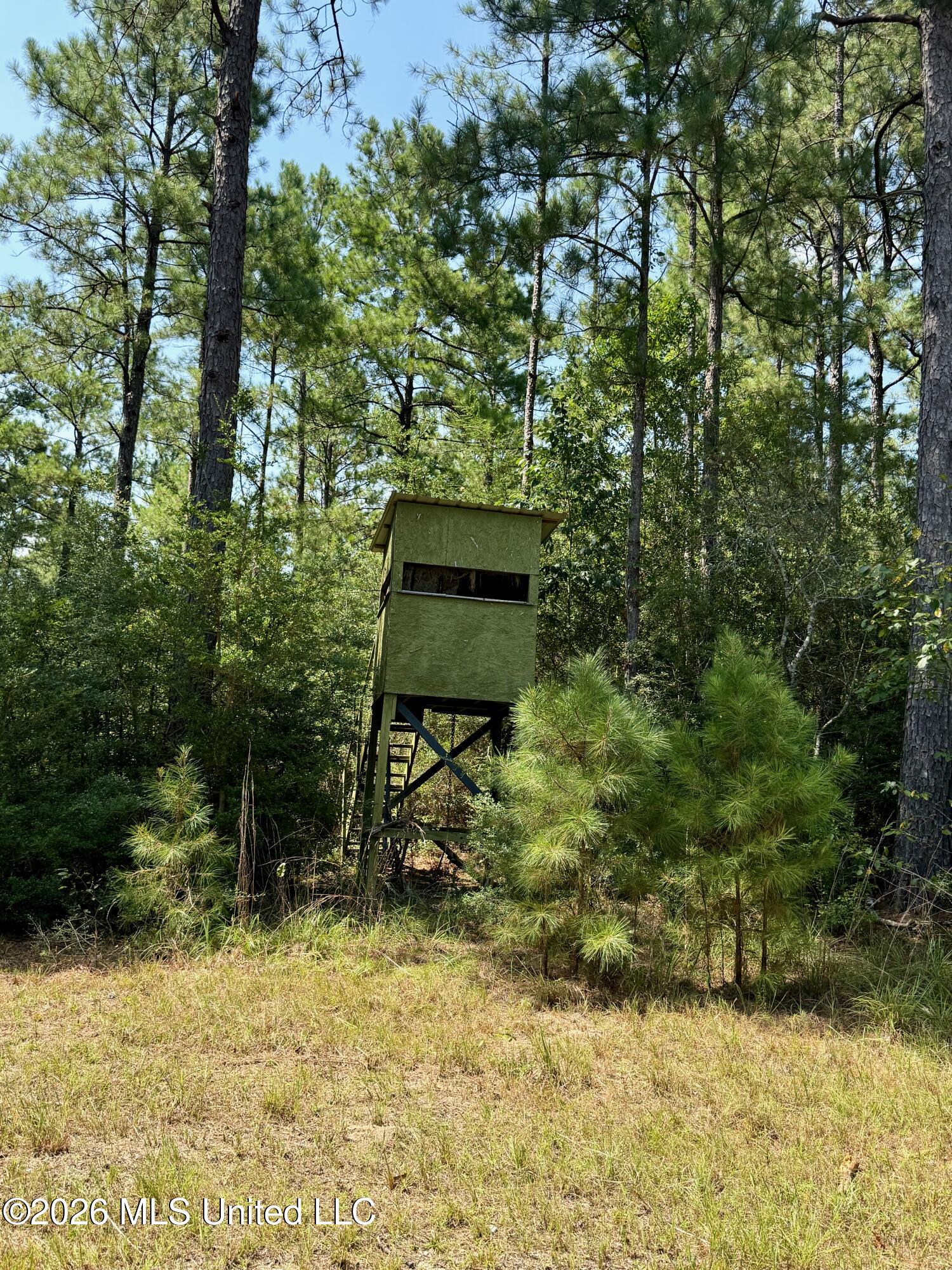 Storey Parkman Property Photo 19