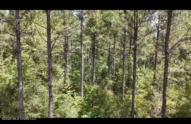 Storey Parkman Property Photo 21