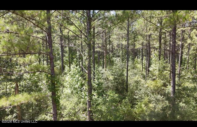 Storey Parkman Property Photo 23