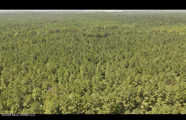 Storey Parkman Property Photo 24