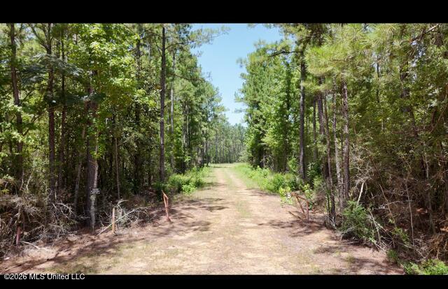 Storey Parkman Property Photo 25
